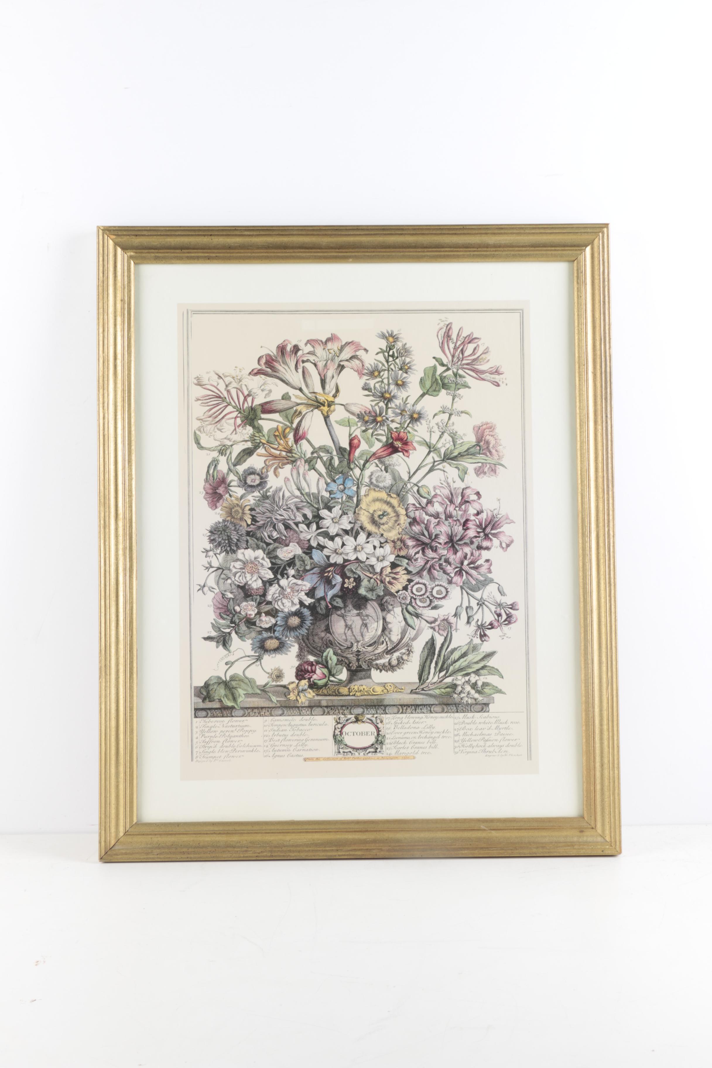 Offset Lithographs on Paper After Robert Furber "Twelve Months of Flowers"
