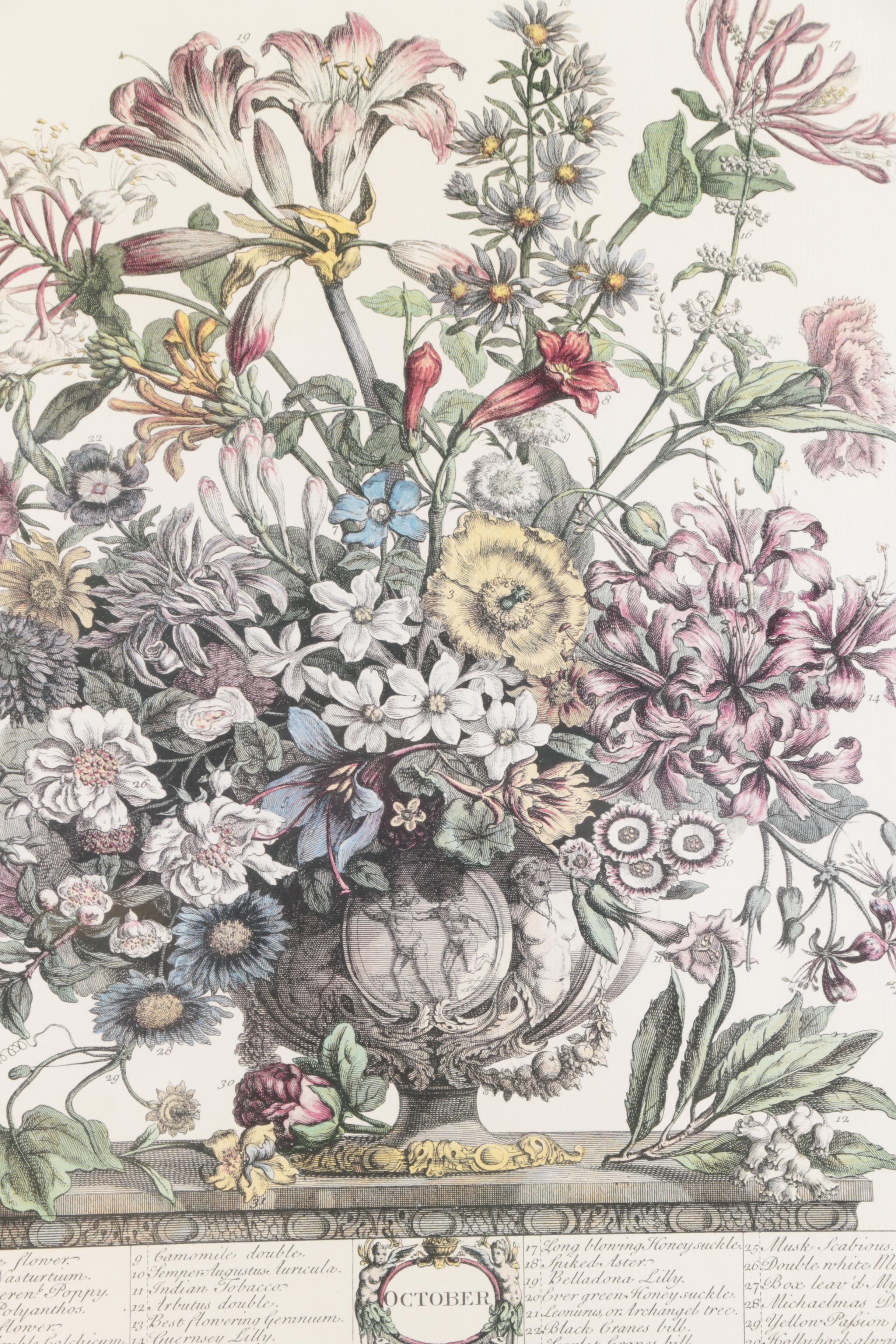 Offset Lithographs on Paper After Robert Furber "Twelve Months of Flowers"
