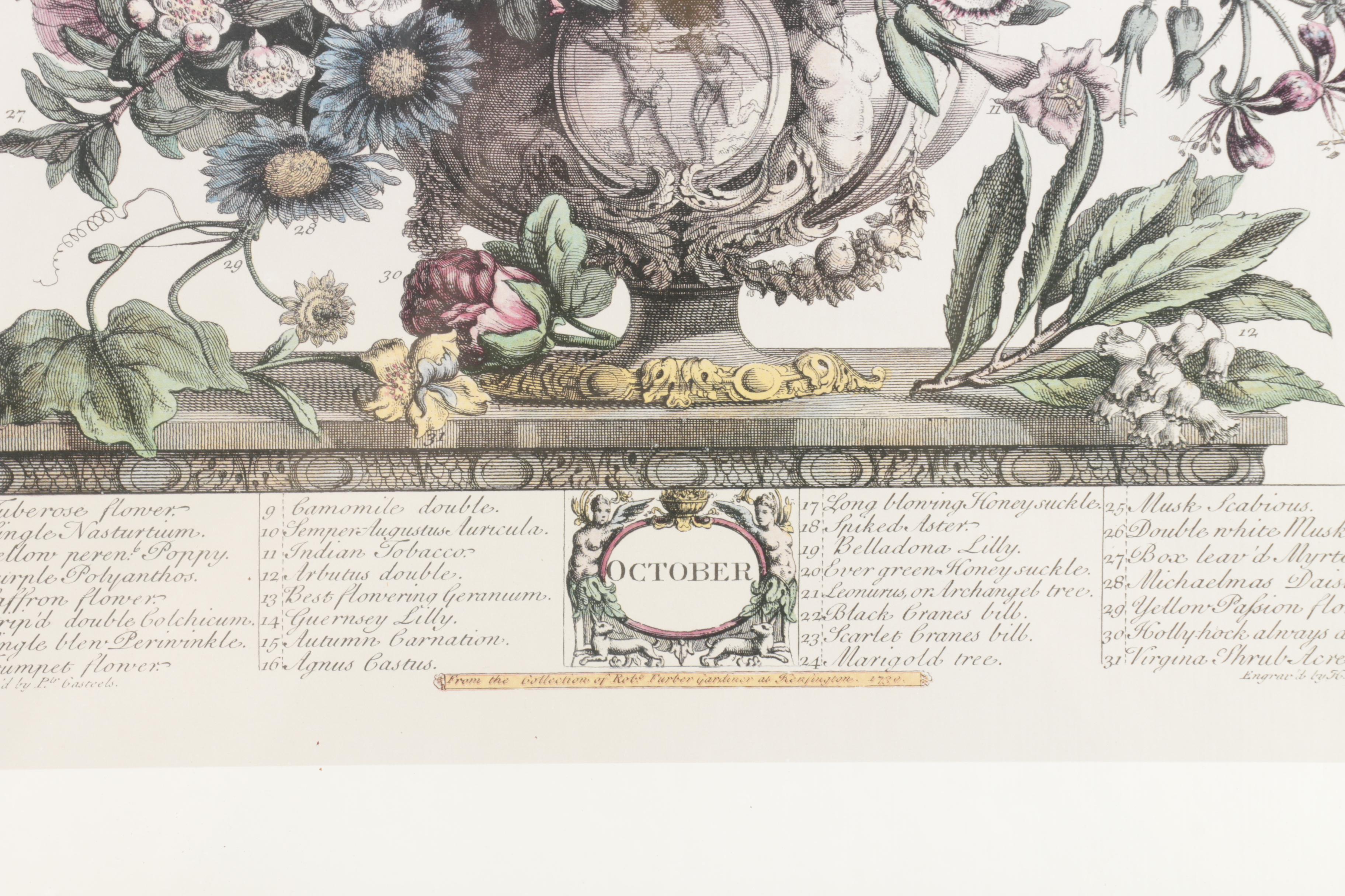 Offset Lithographs on Paper After Robert Furber "Twelve Months of Flowers"