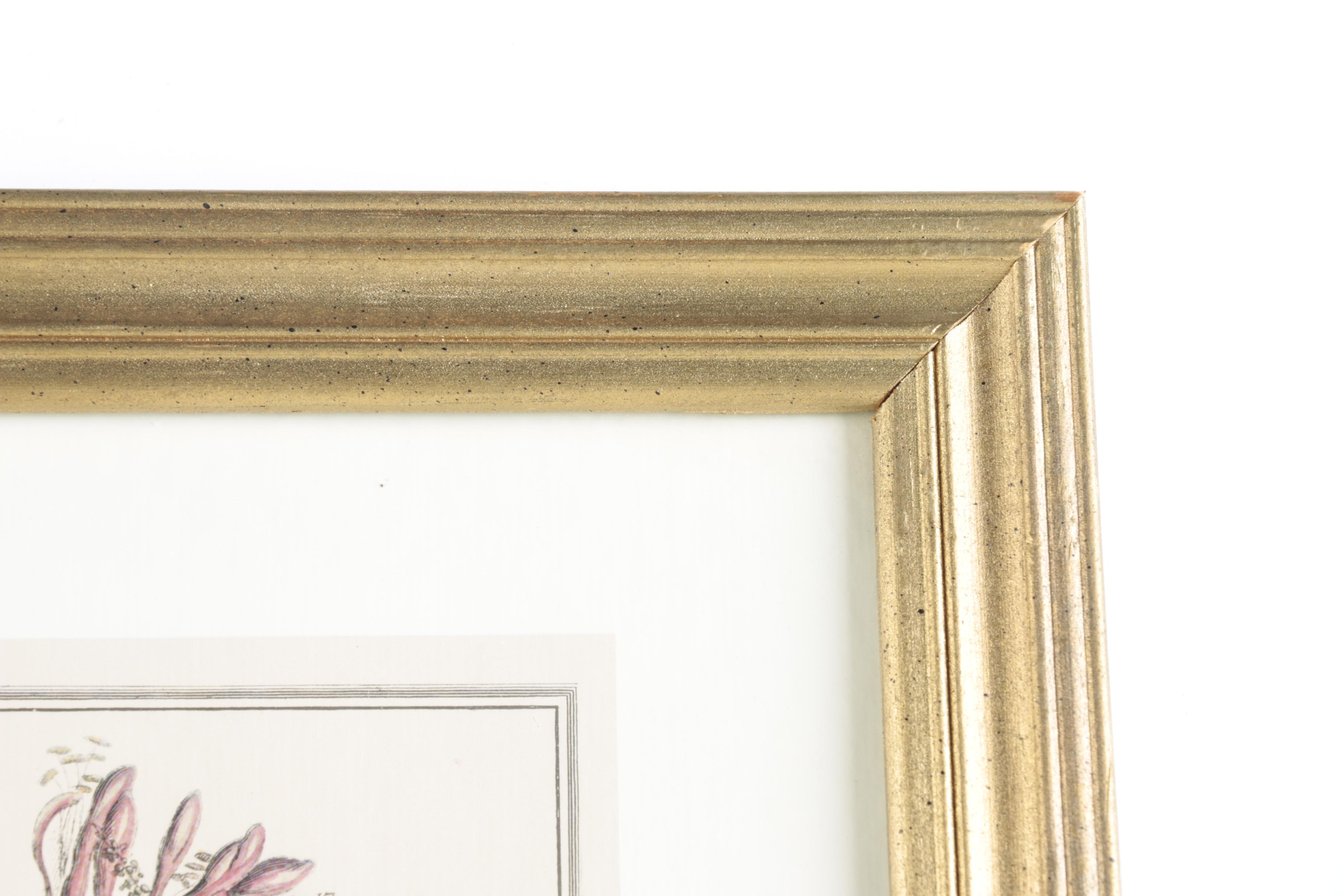 Offset Lithographs on Paper After Robert Furber "Twelve Months of Flowers"