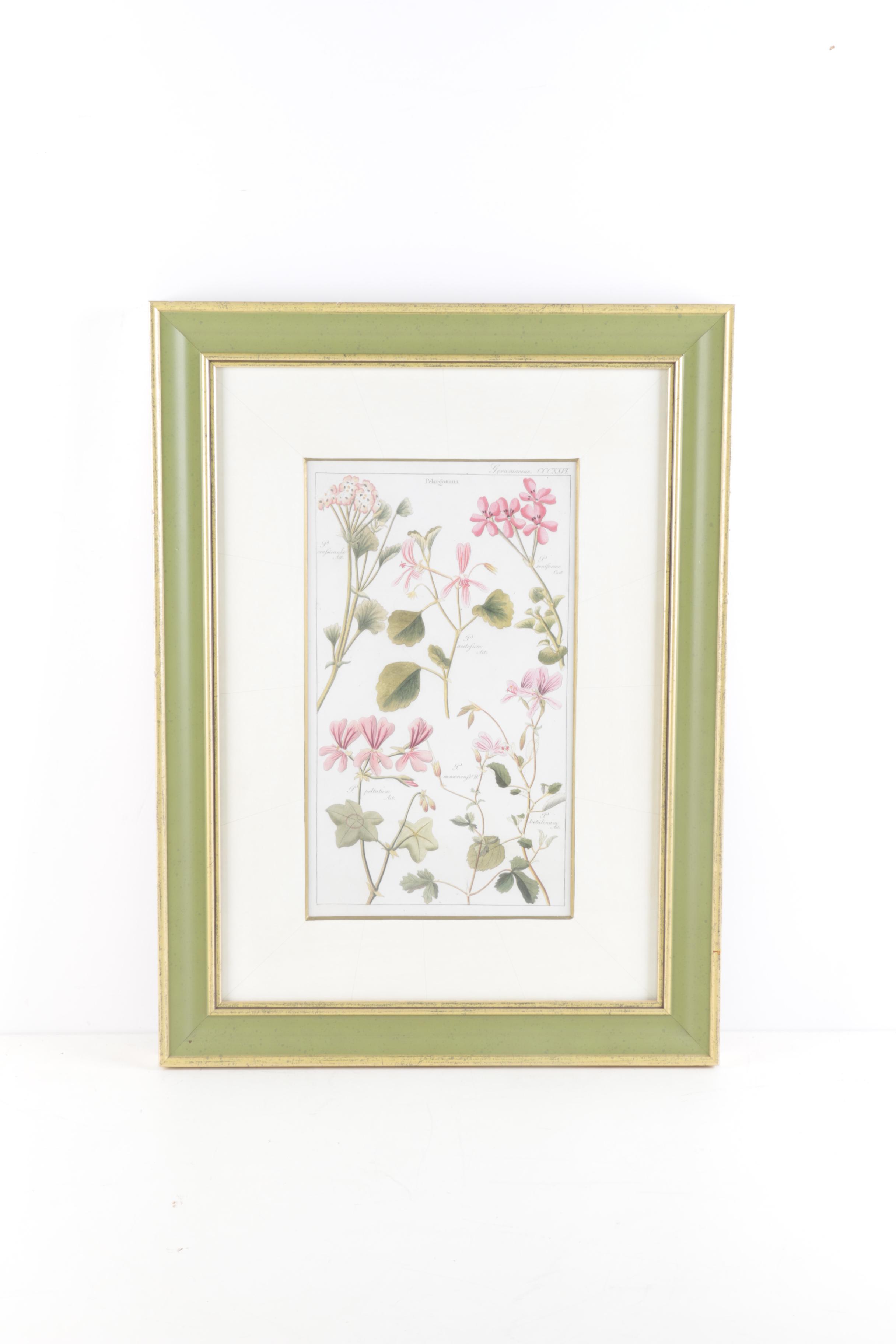 Offset Lithographs "Flora Universalis"