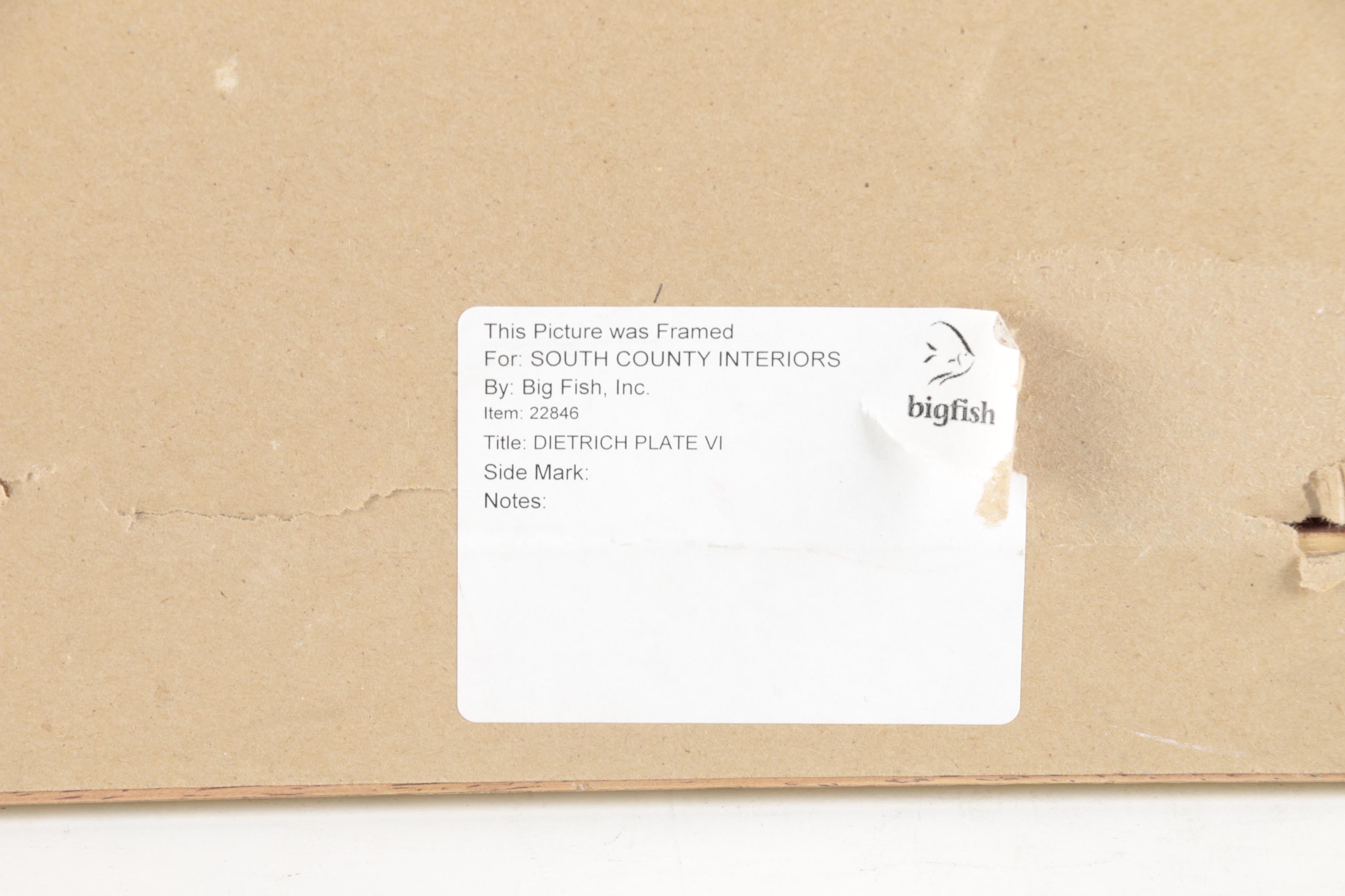 Offset Lithographs "Flora Universalis"