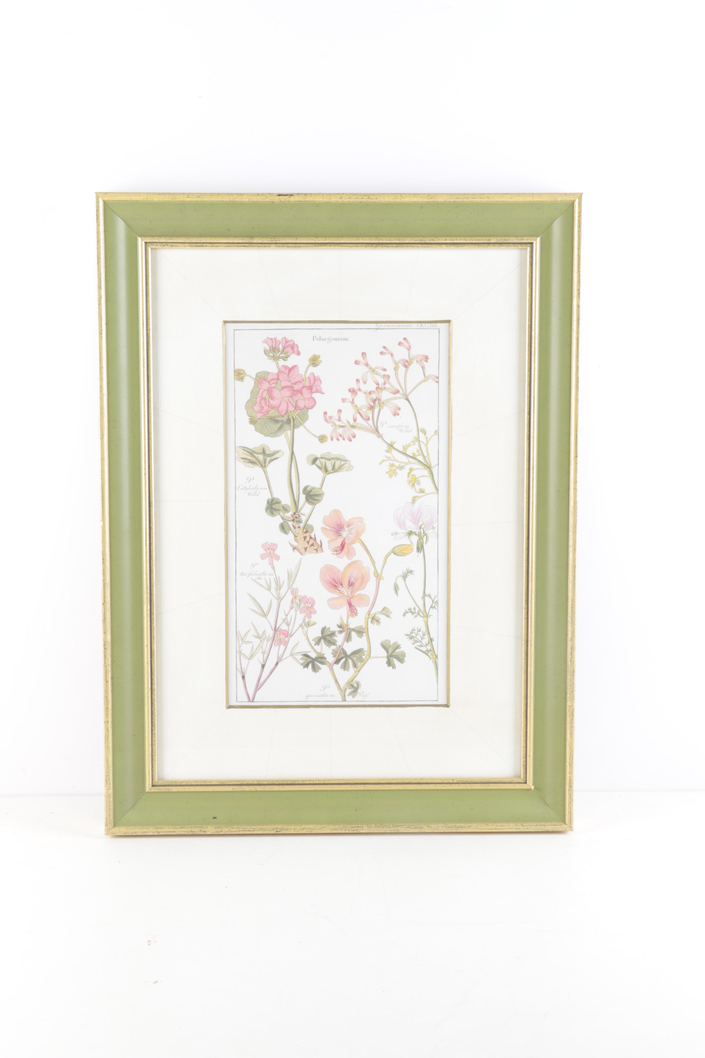 Offset Lithographs "Flora Universalis"