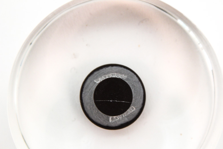 Wedgwood Ornaments and Jewelry