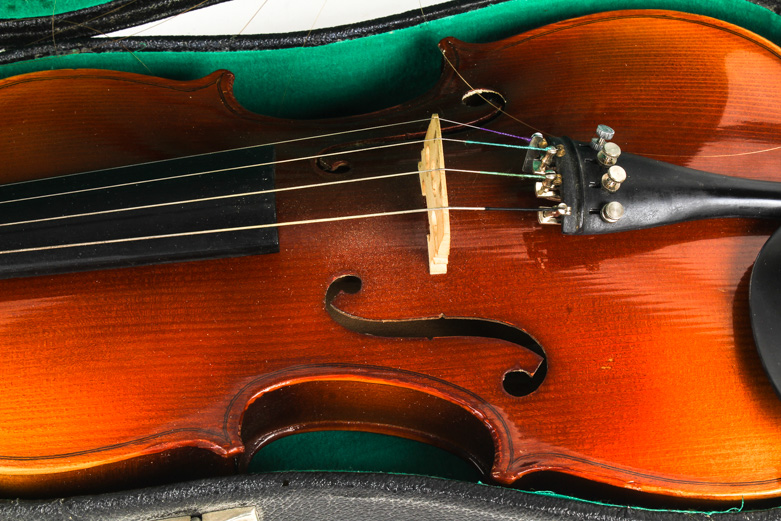 Skylark Violin and Case