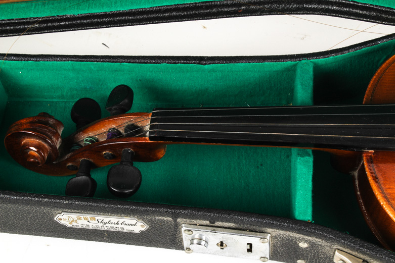 Skylark Violin and Case