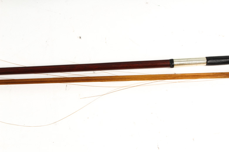 Skylark Violin and Case