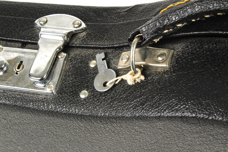 Skylark Violin and Case