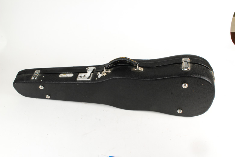 Skylark Violin and Case