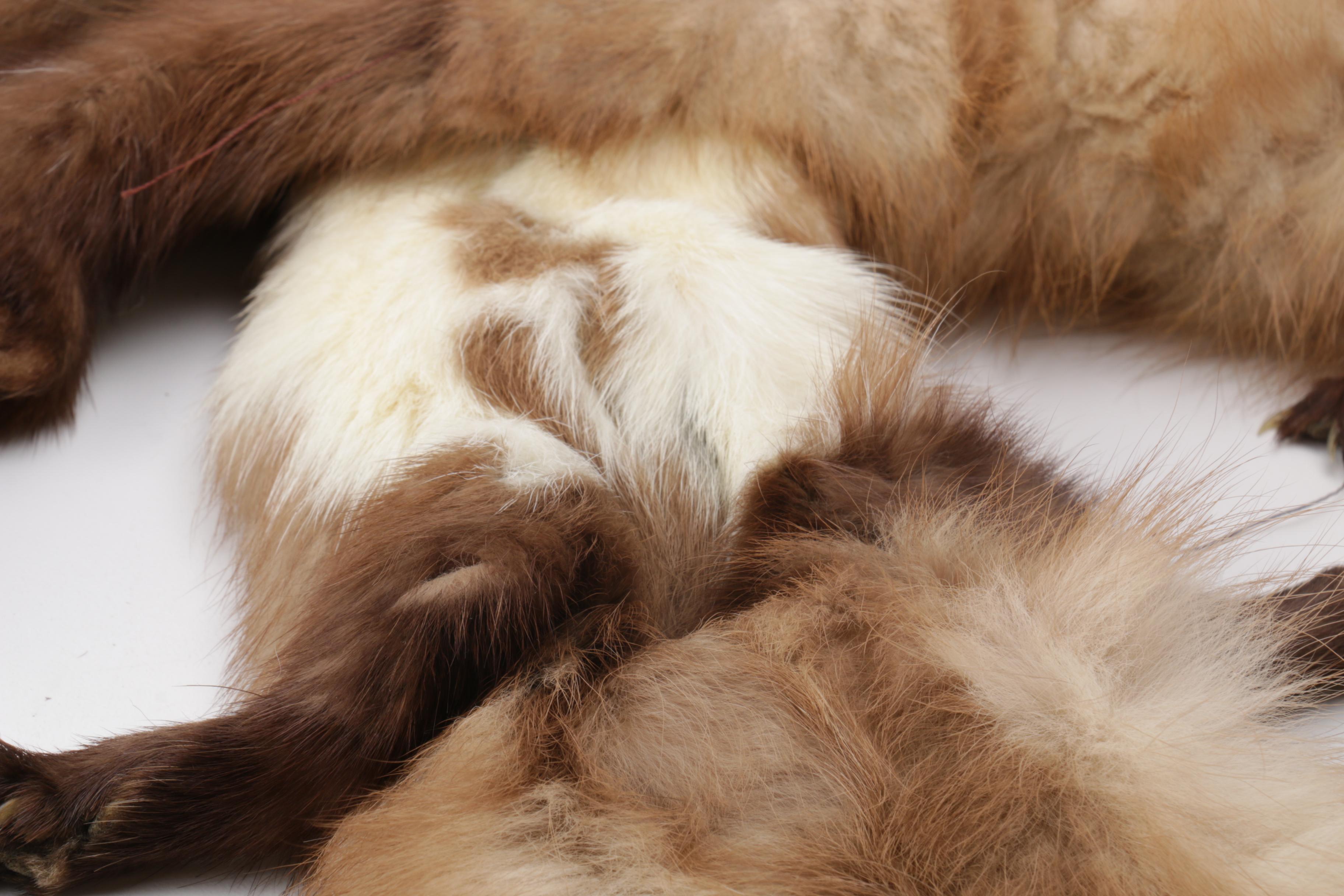 Tan Mink Stole