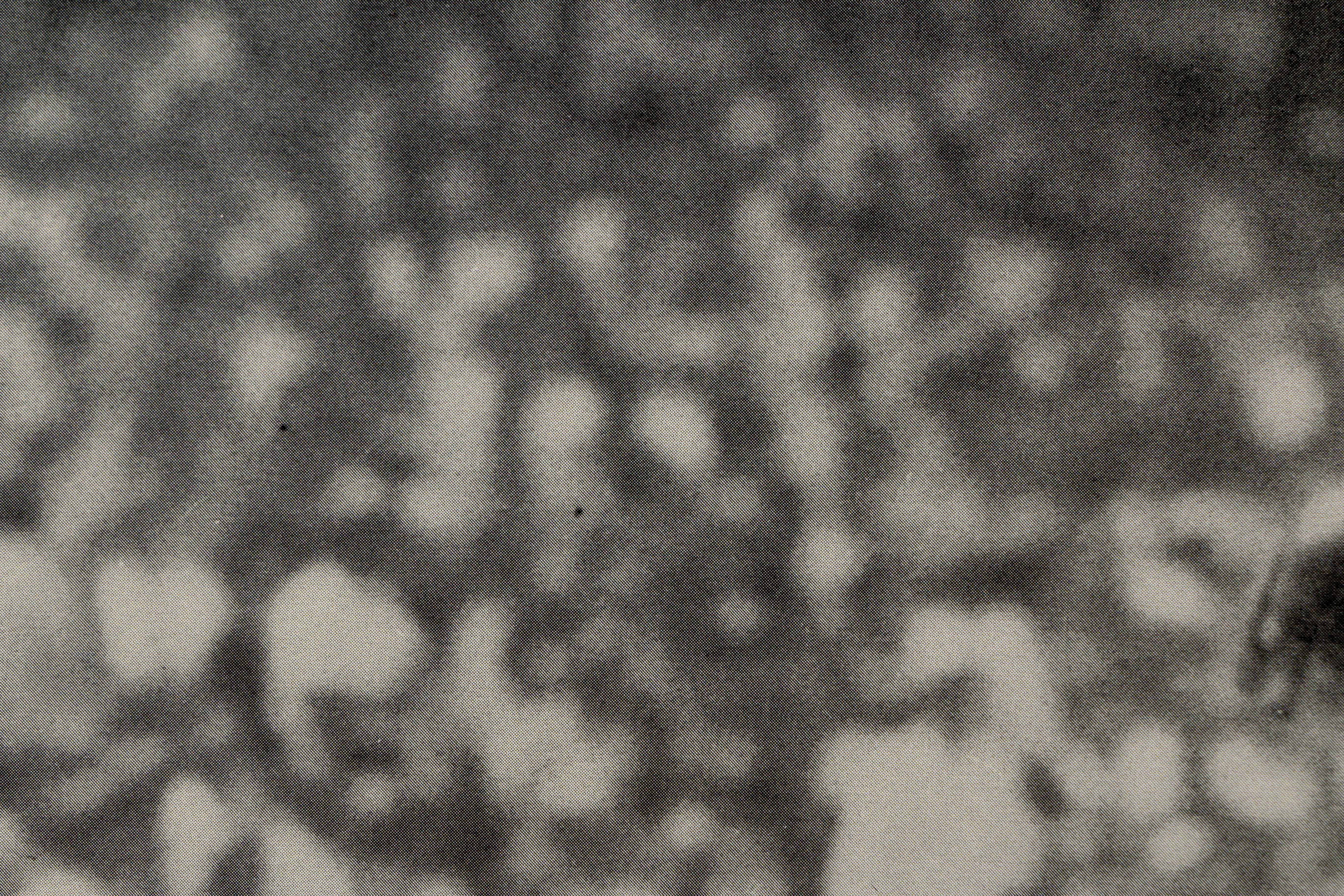 Commemorative Ted Williams Offset Lithograph of Iconic Photograph