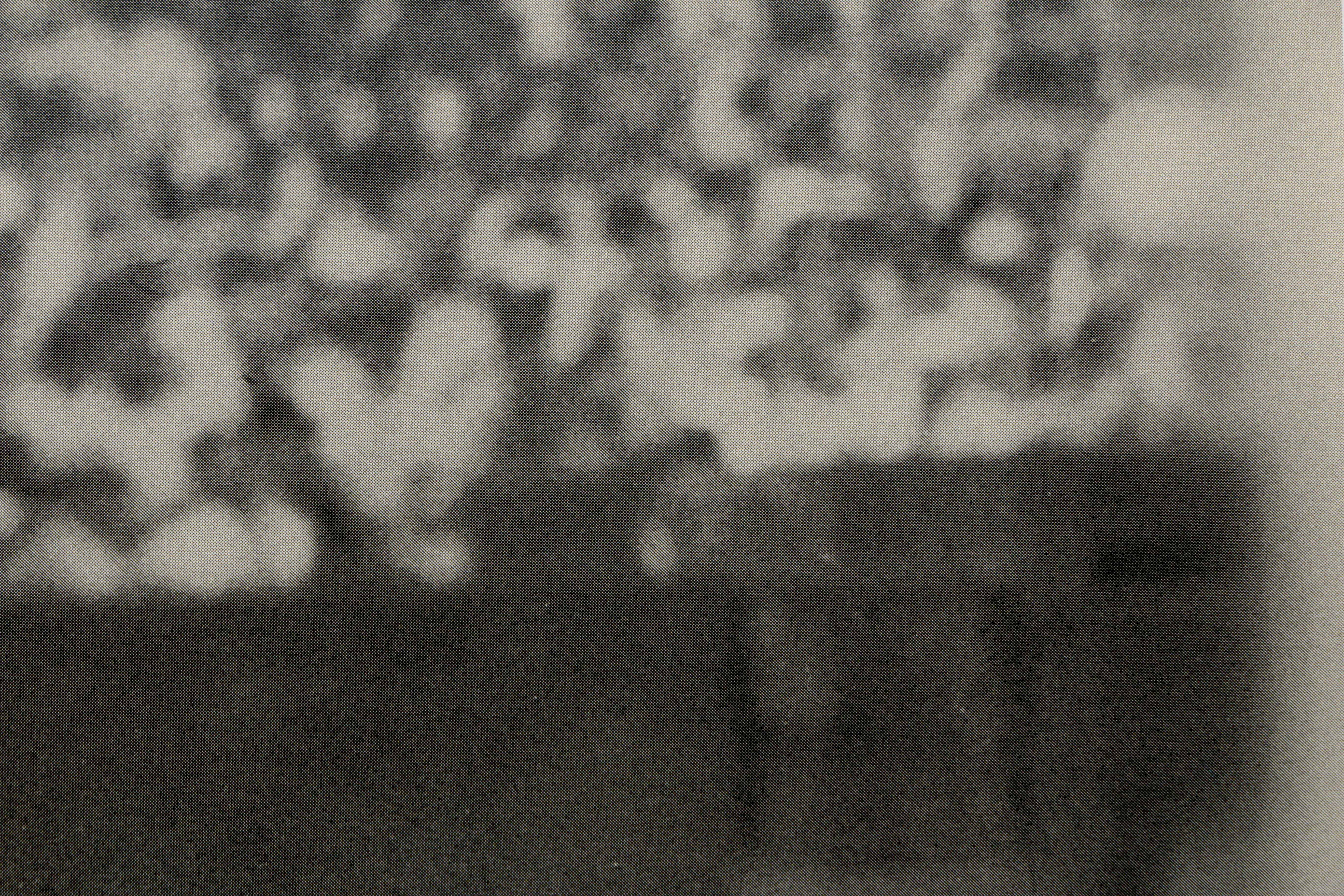 Commemorative Ted Williams Offset Lithograph of Iconic Photograph