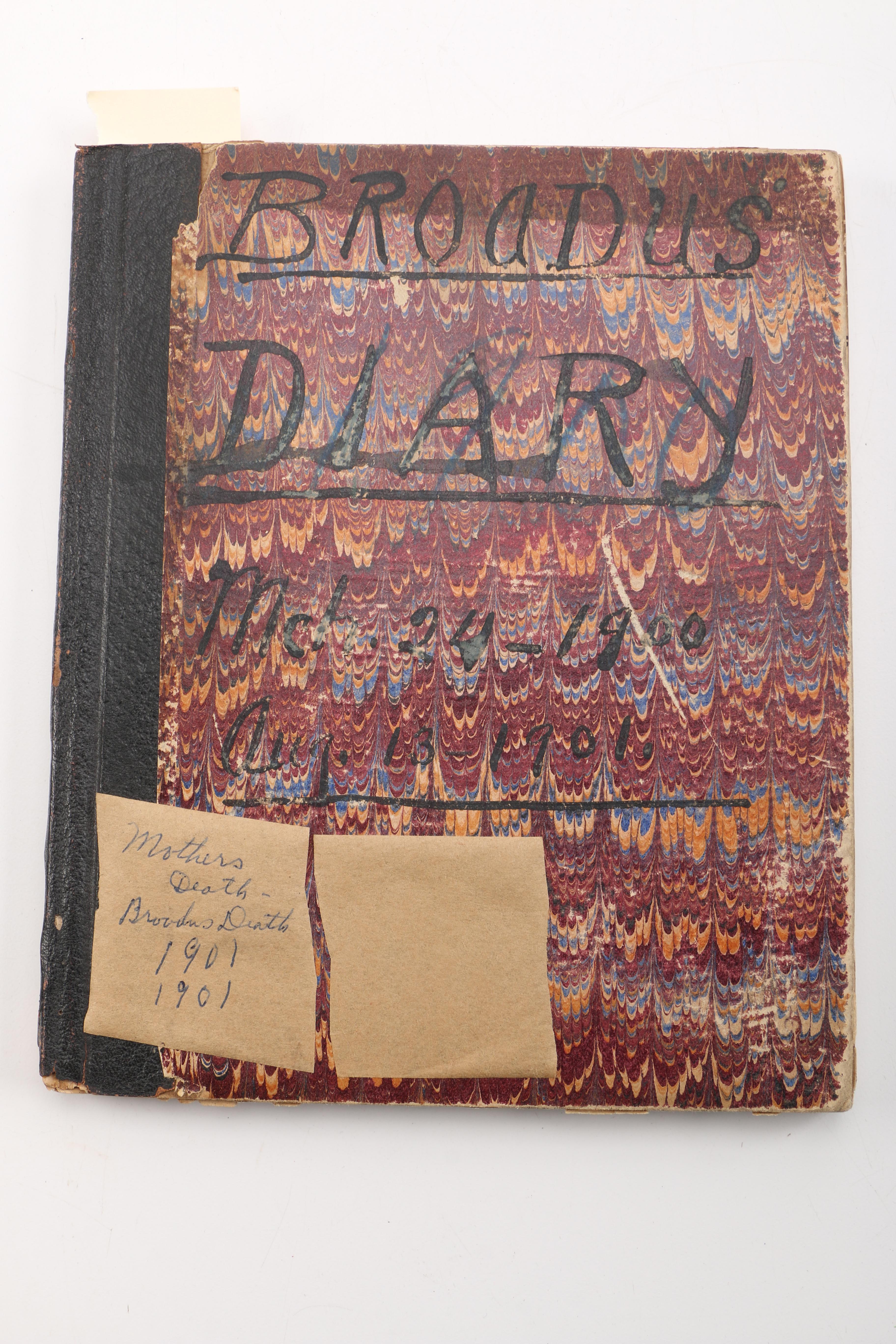 Personal Journals Dating Back to 1893