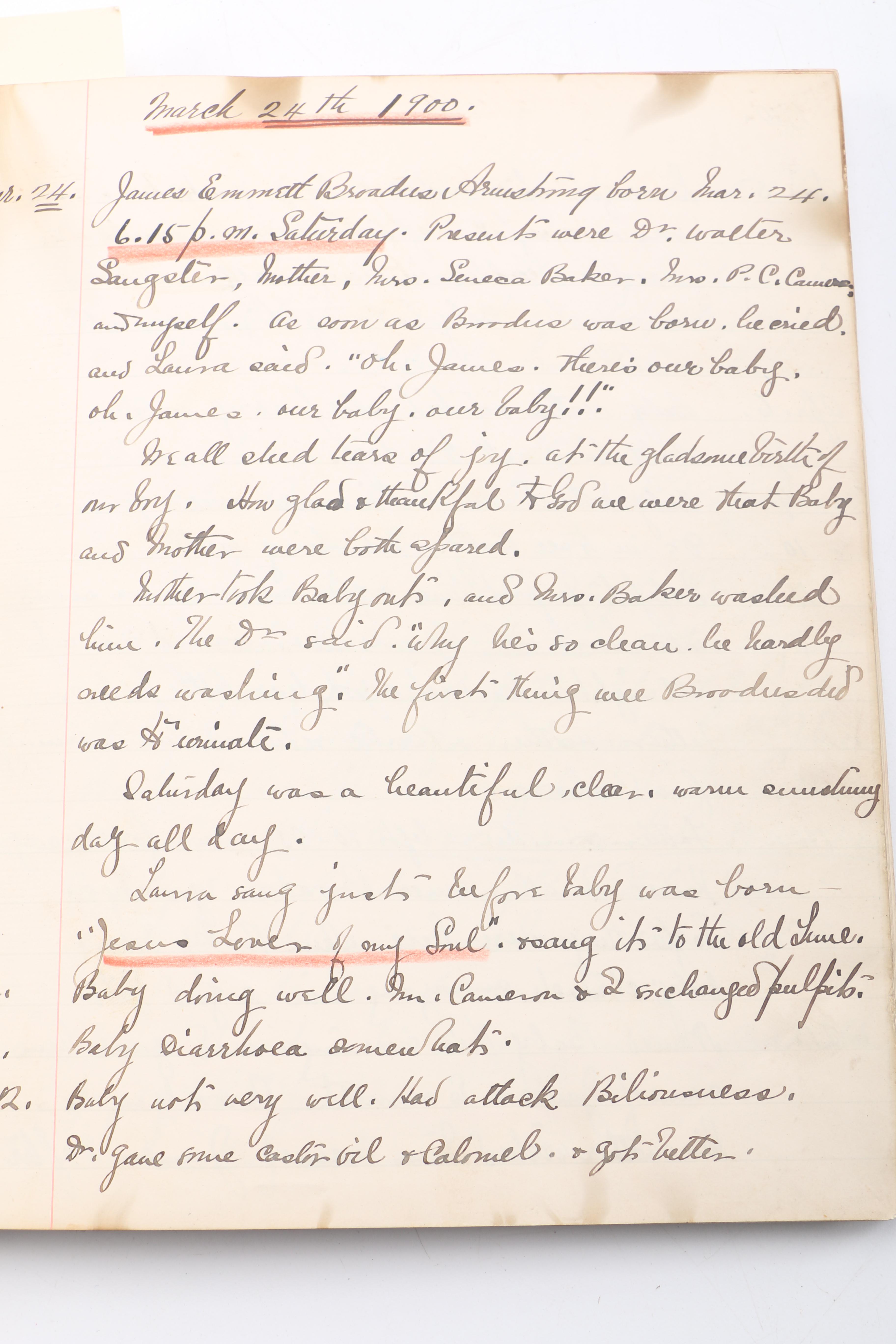 Personal Journals Dating Back to 1893