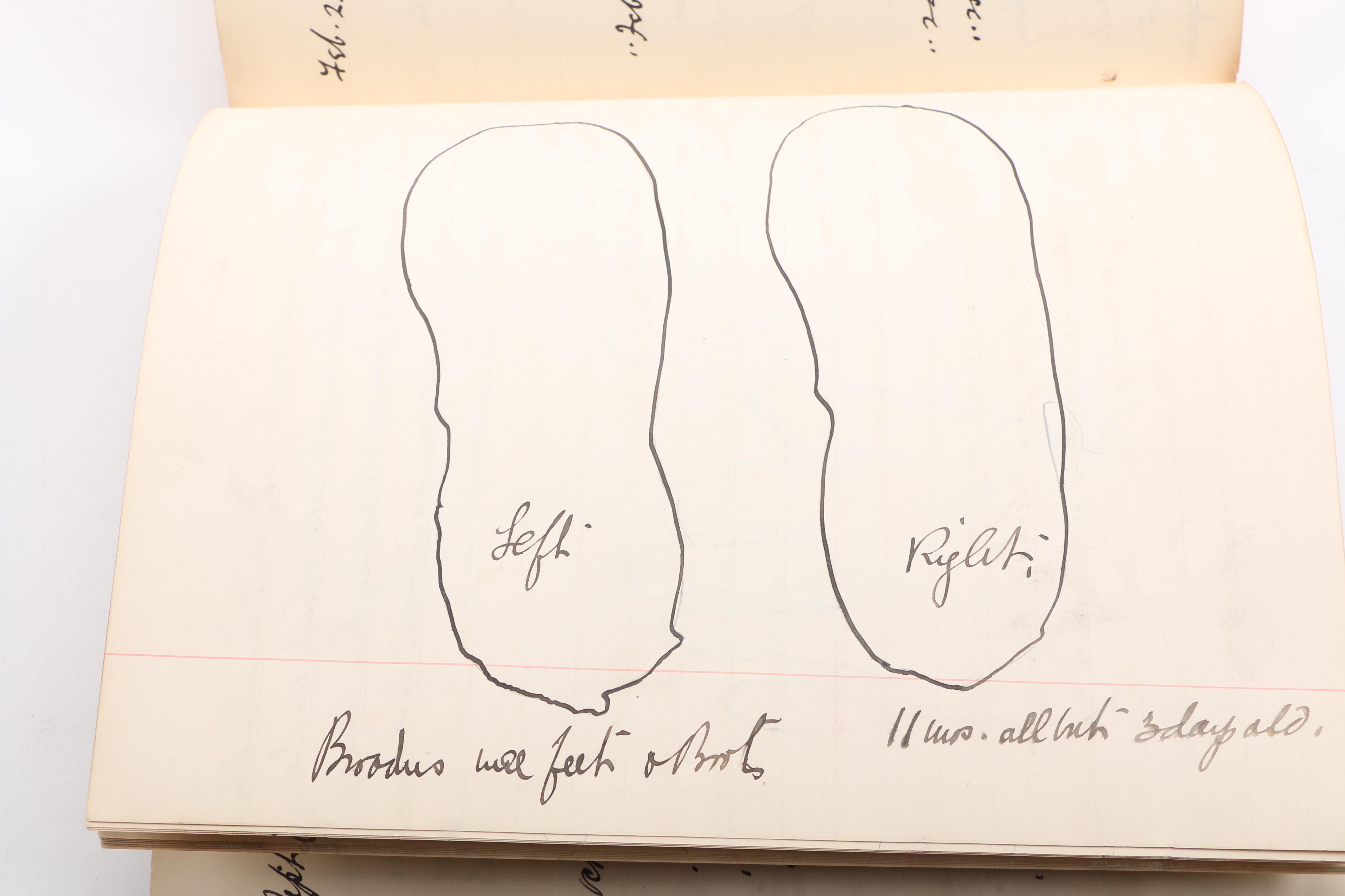 Personal Journals Dating Back to 1893