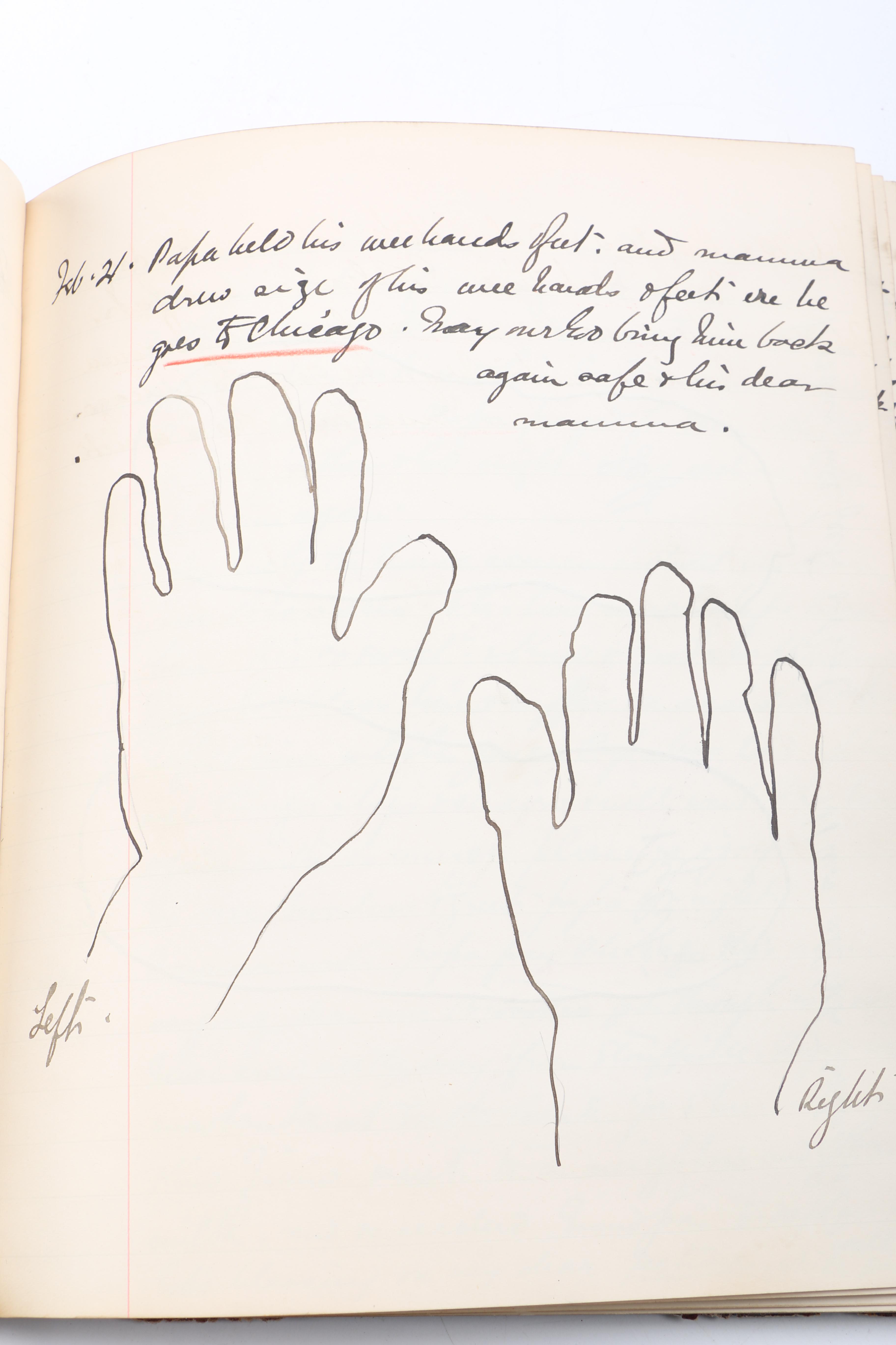 Personal Journals Dating Back to 1893