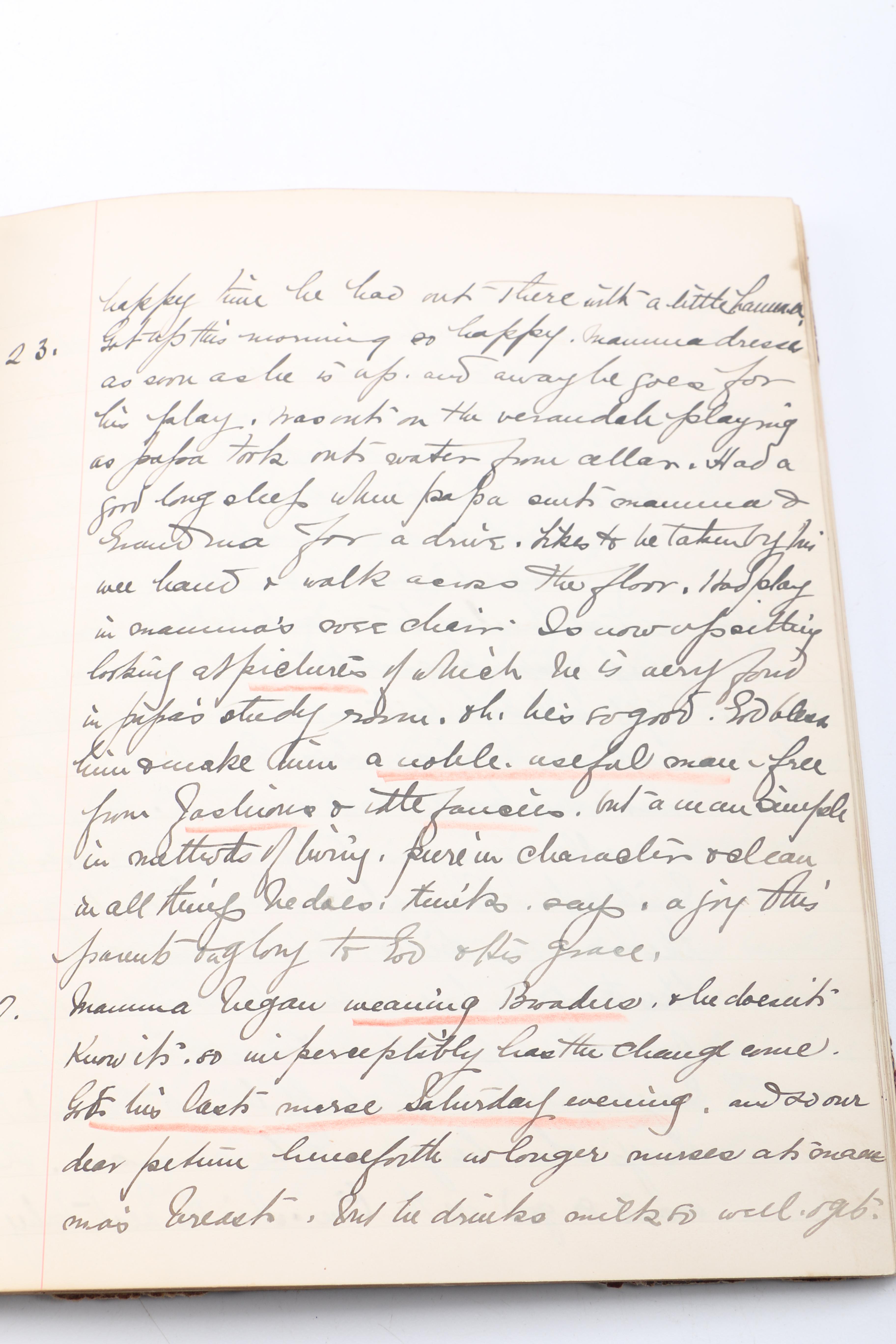 Personal Journals Dating Back to 1893