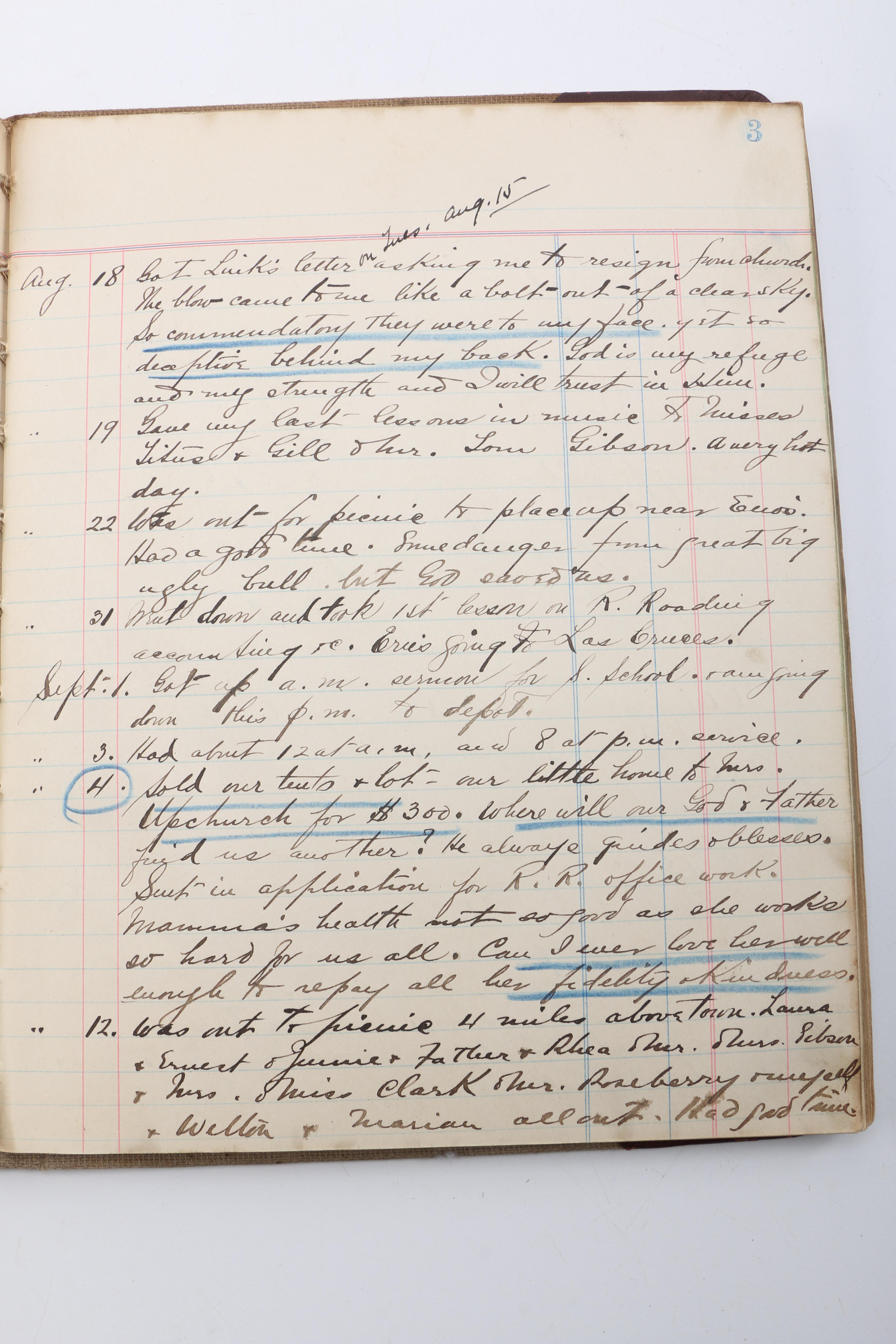 Personal Journals Dating Back to 1893