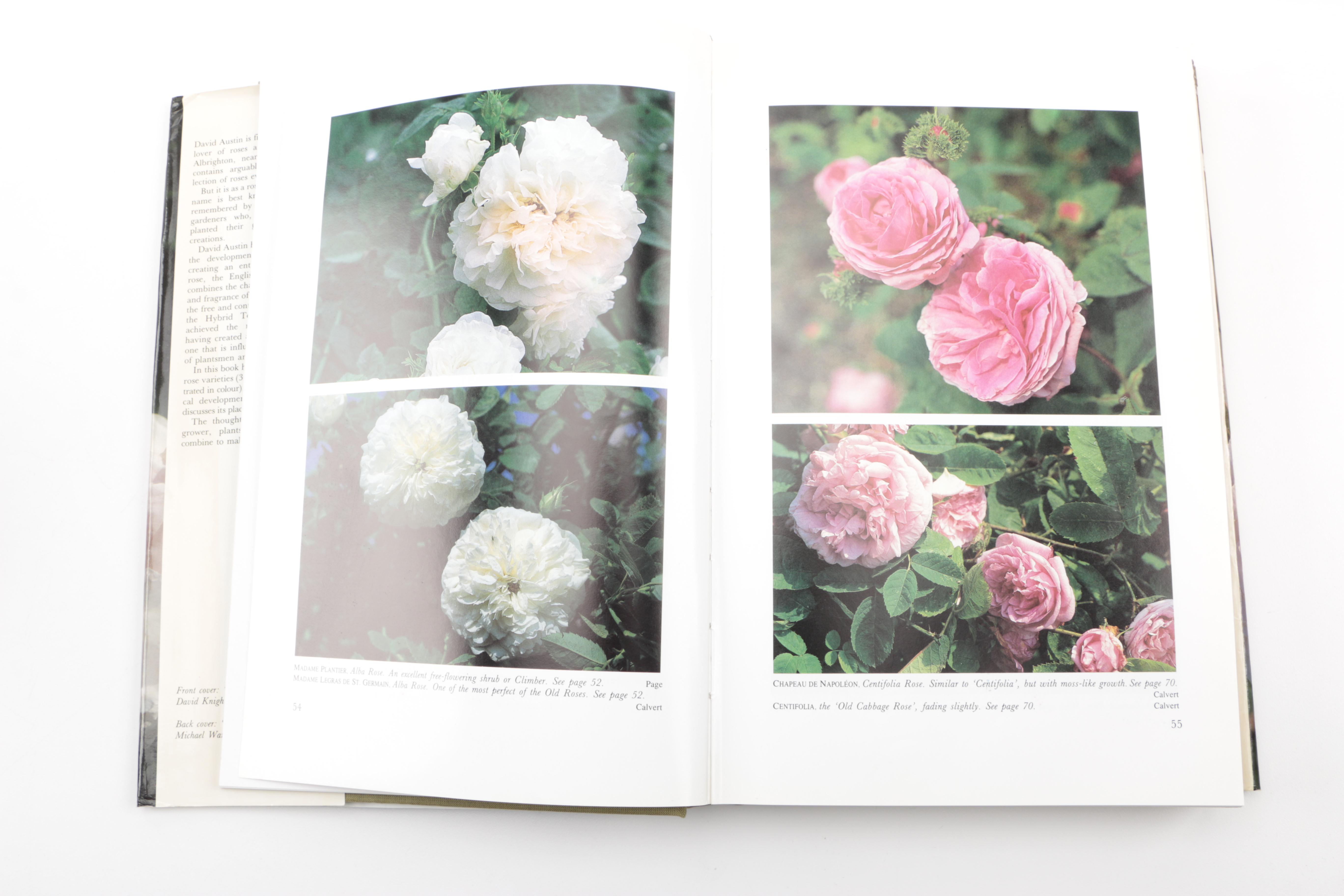 Assorted Books on Roses Including "Visions of Roses" Showing Beckett's Castle