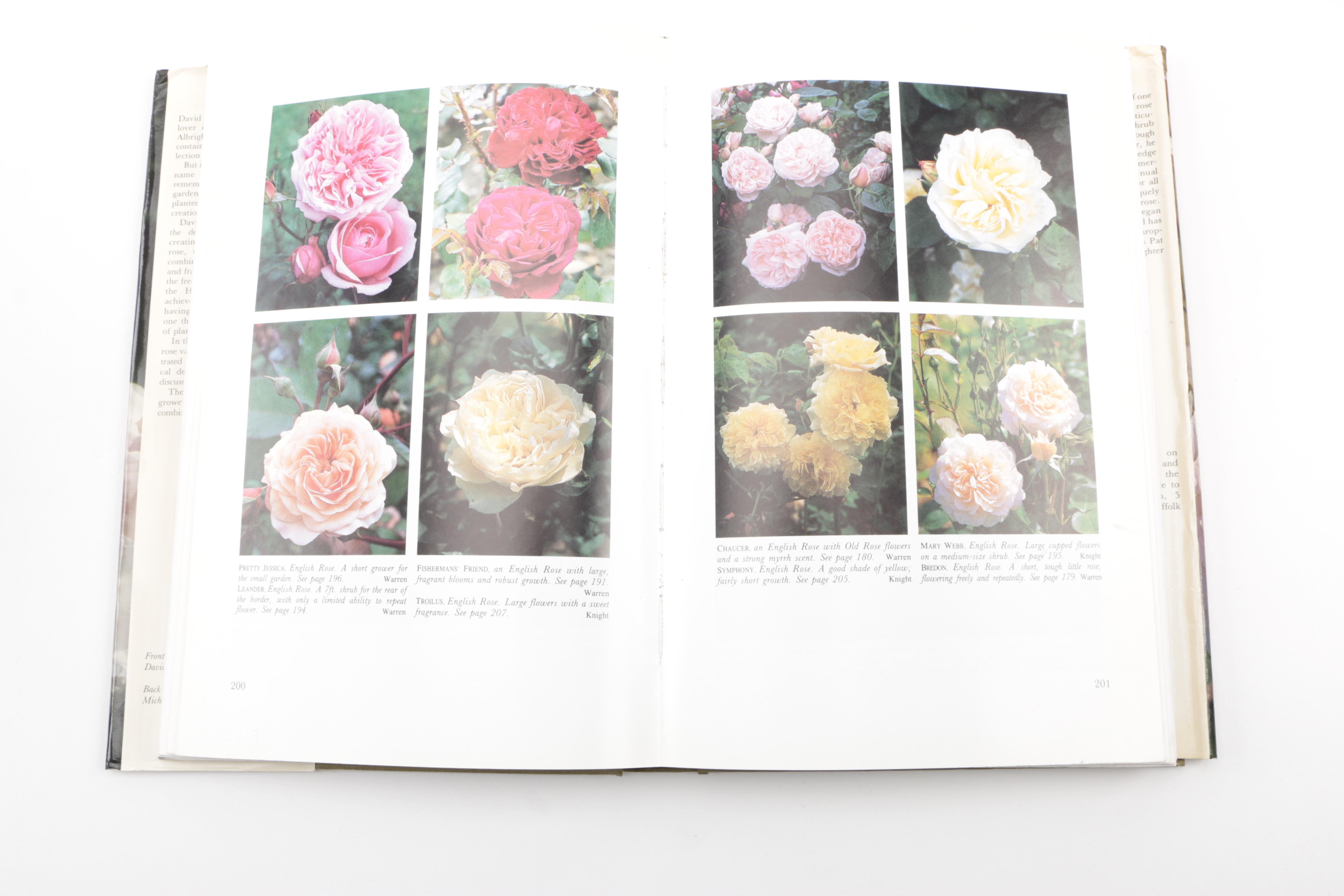 Assorted Books on Roses Including "Visions of Roses" Showing Beckett's Castle