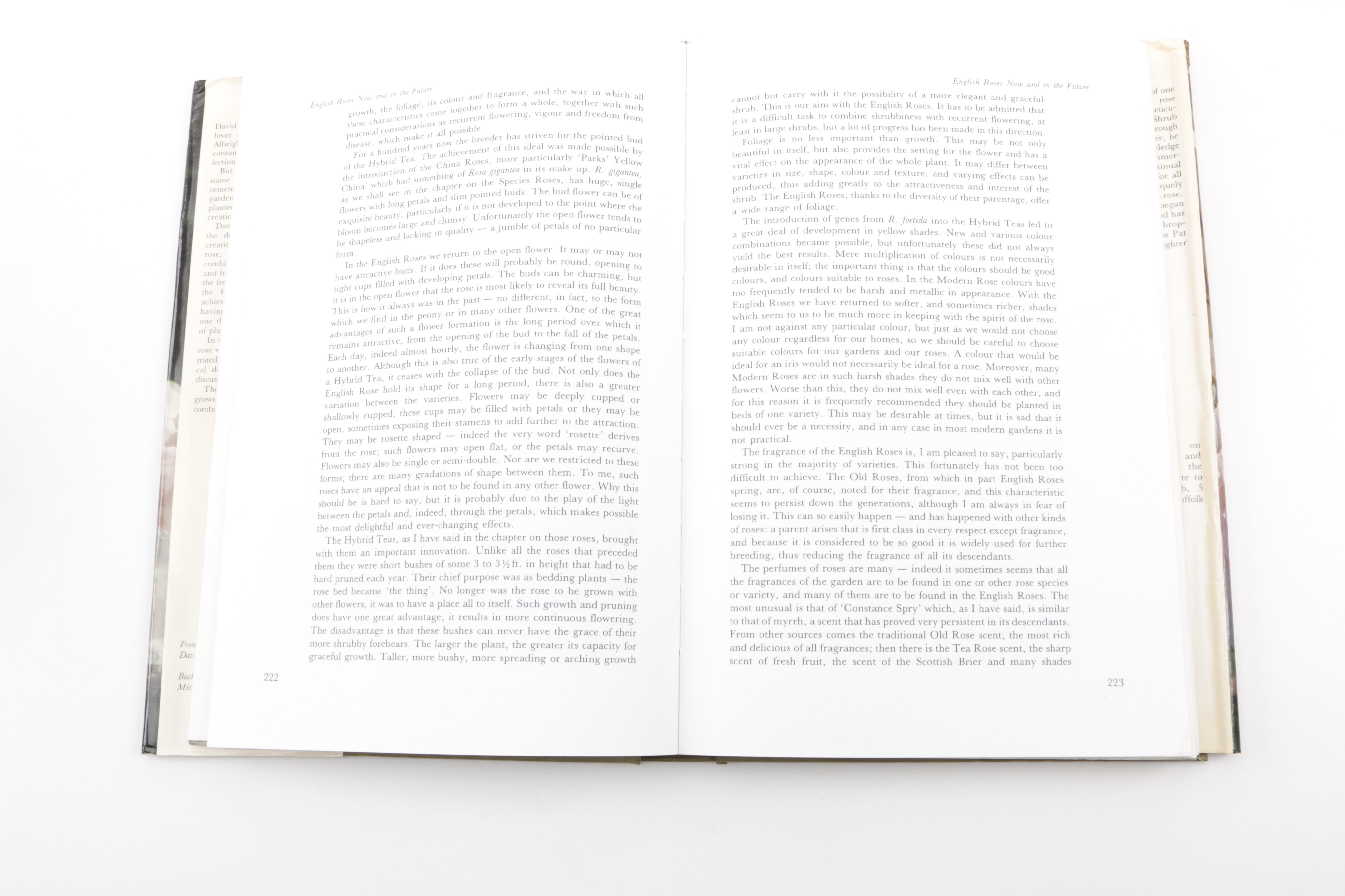 Assorted Books on Roses Including "Visions of Roses" Showing Beckett's Castle