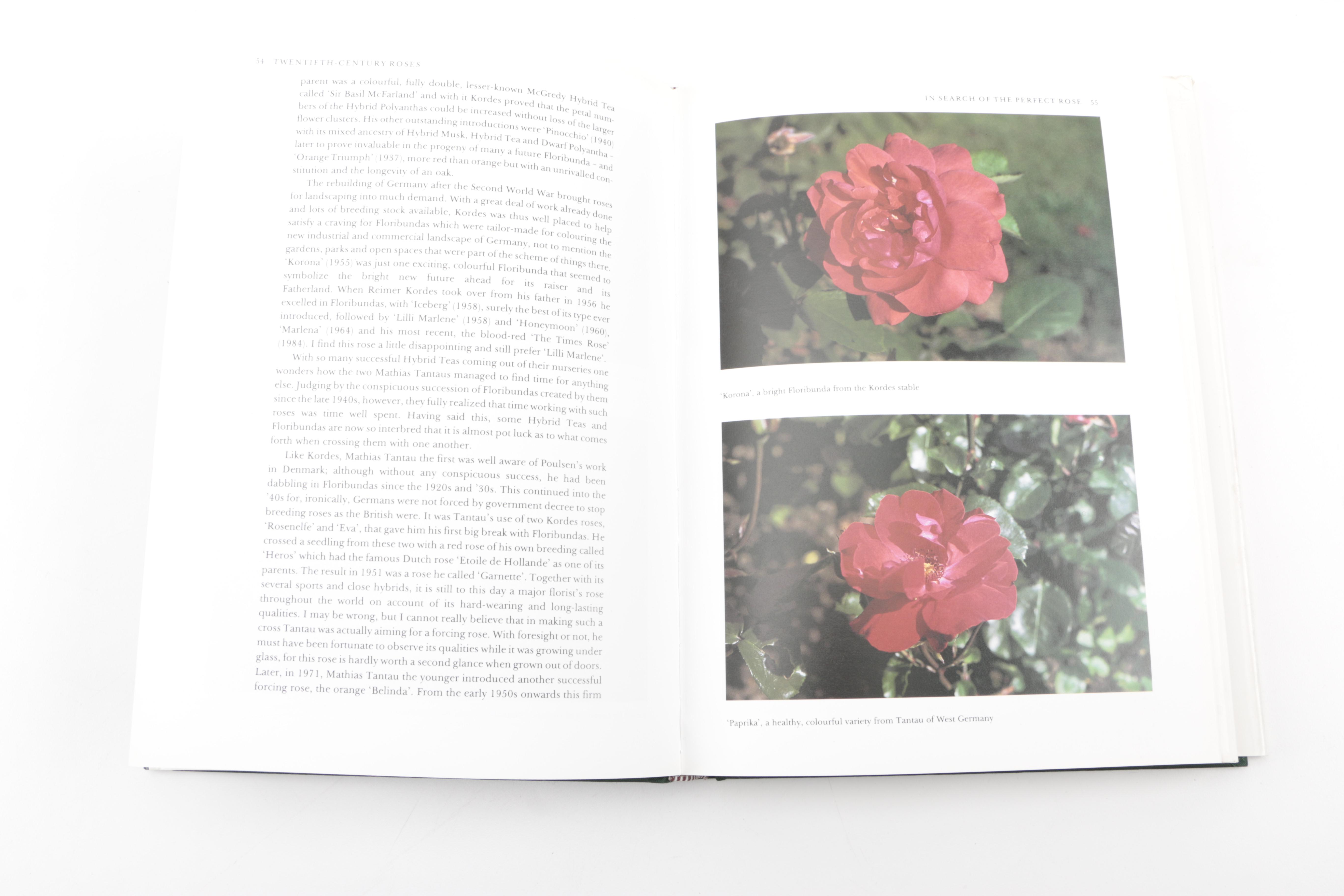Assorted Books on Roses Including "Visions of Roses" Showing Beckett's Castle