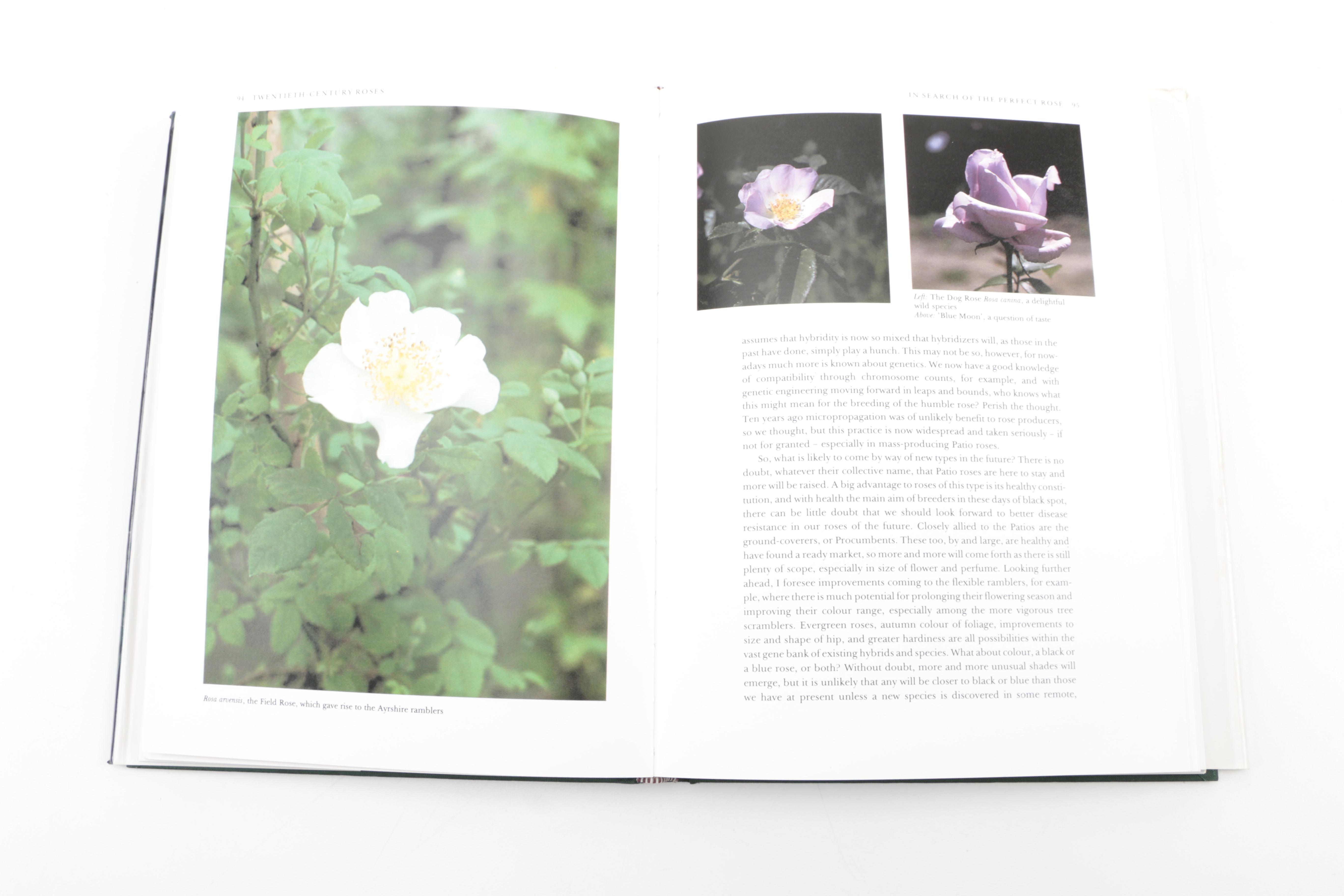 Assorted Books on Roses Including "Visions of Roses" Showing Beckett's Castle