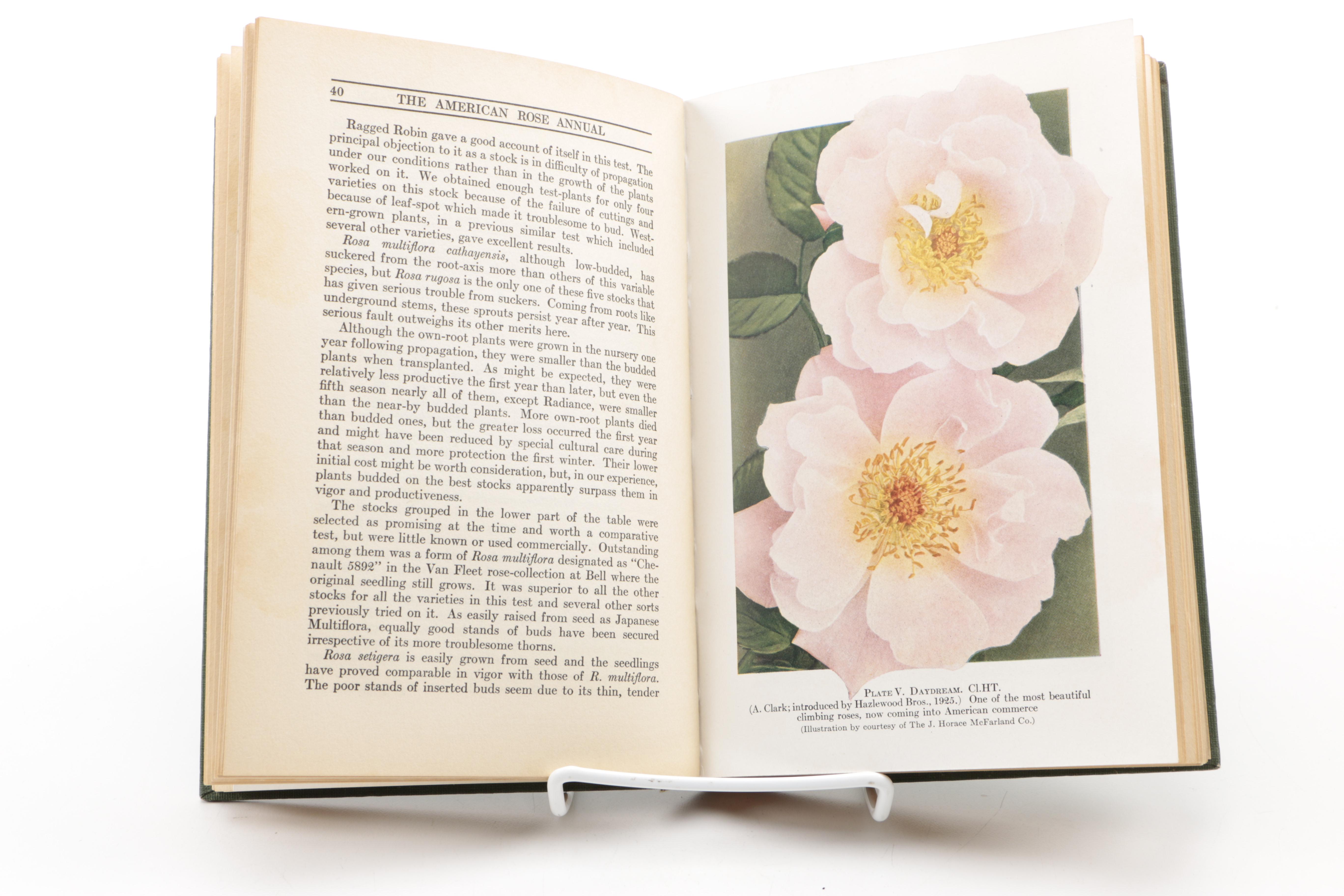 Assorted Books on Roses Including "Visions of Roses" Showing Beckett's Castle