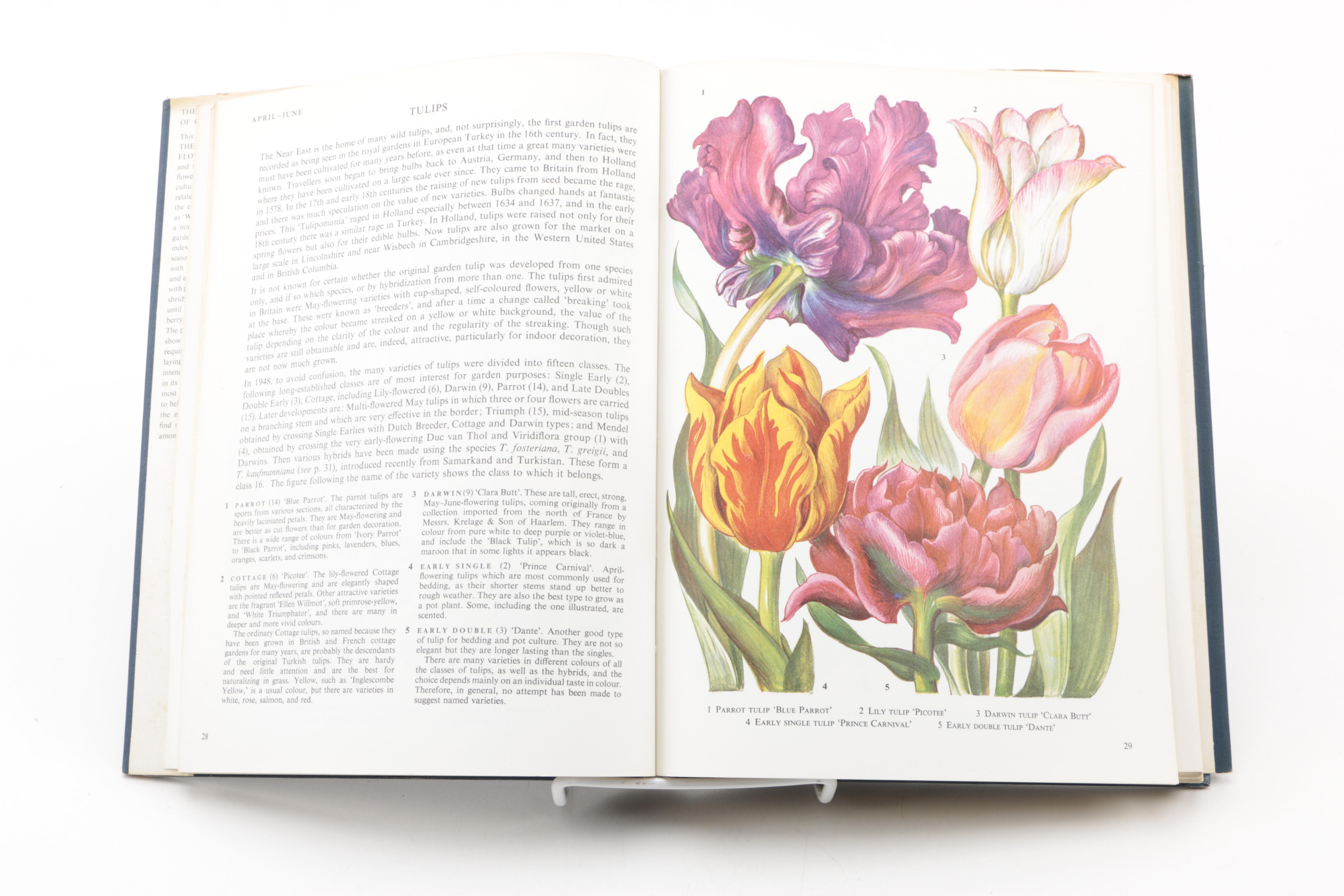 Assorted Books on Roses Including "Visions of Roses" Showing Beckett's Castle