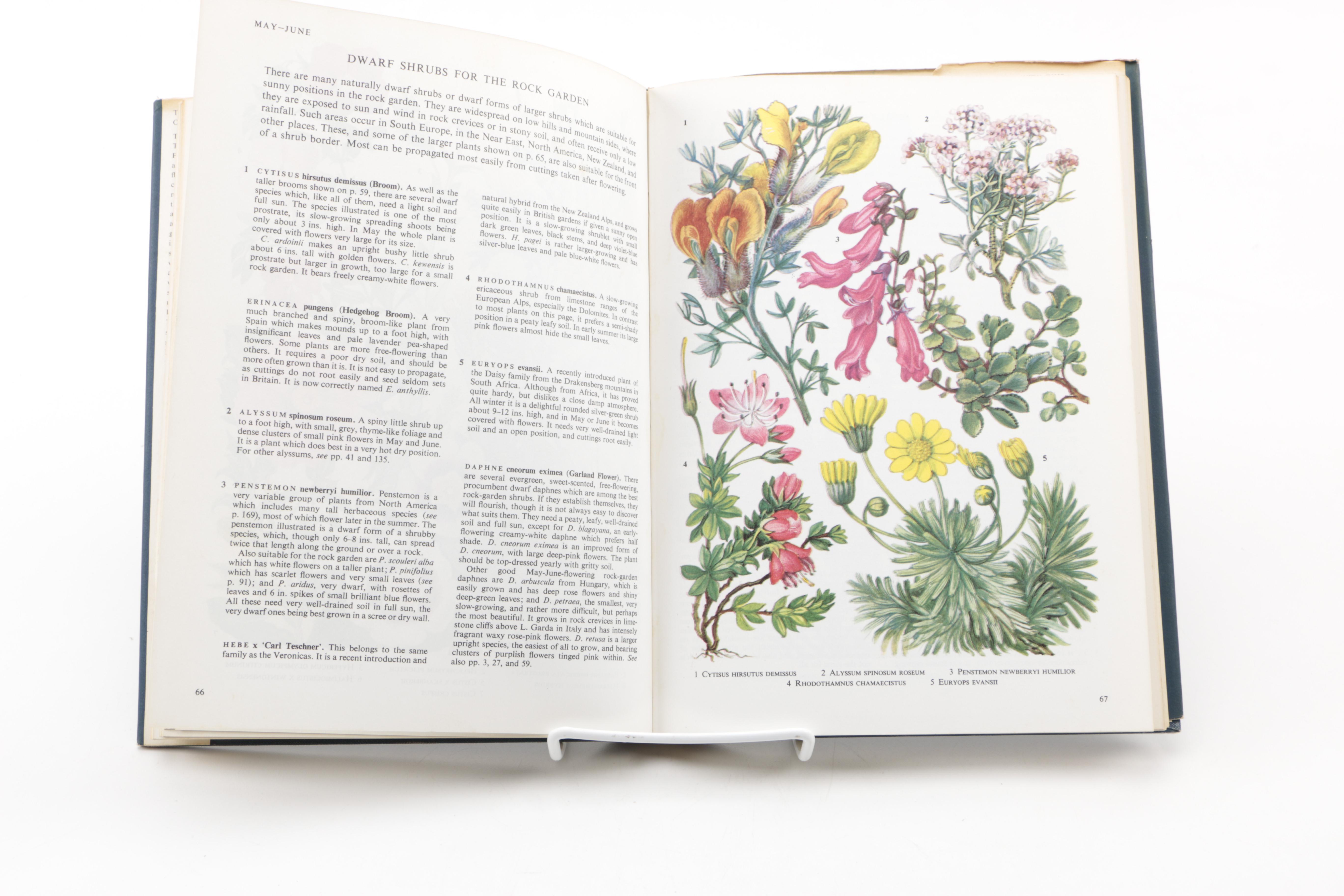 Assorted Books on Roses Including "Visions of Roses" Showing Beckett's Castle