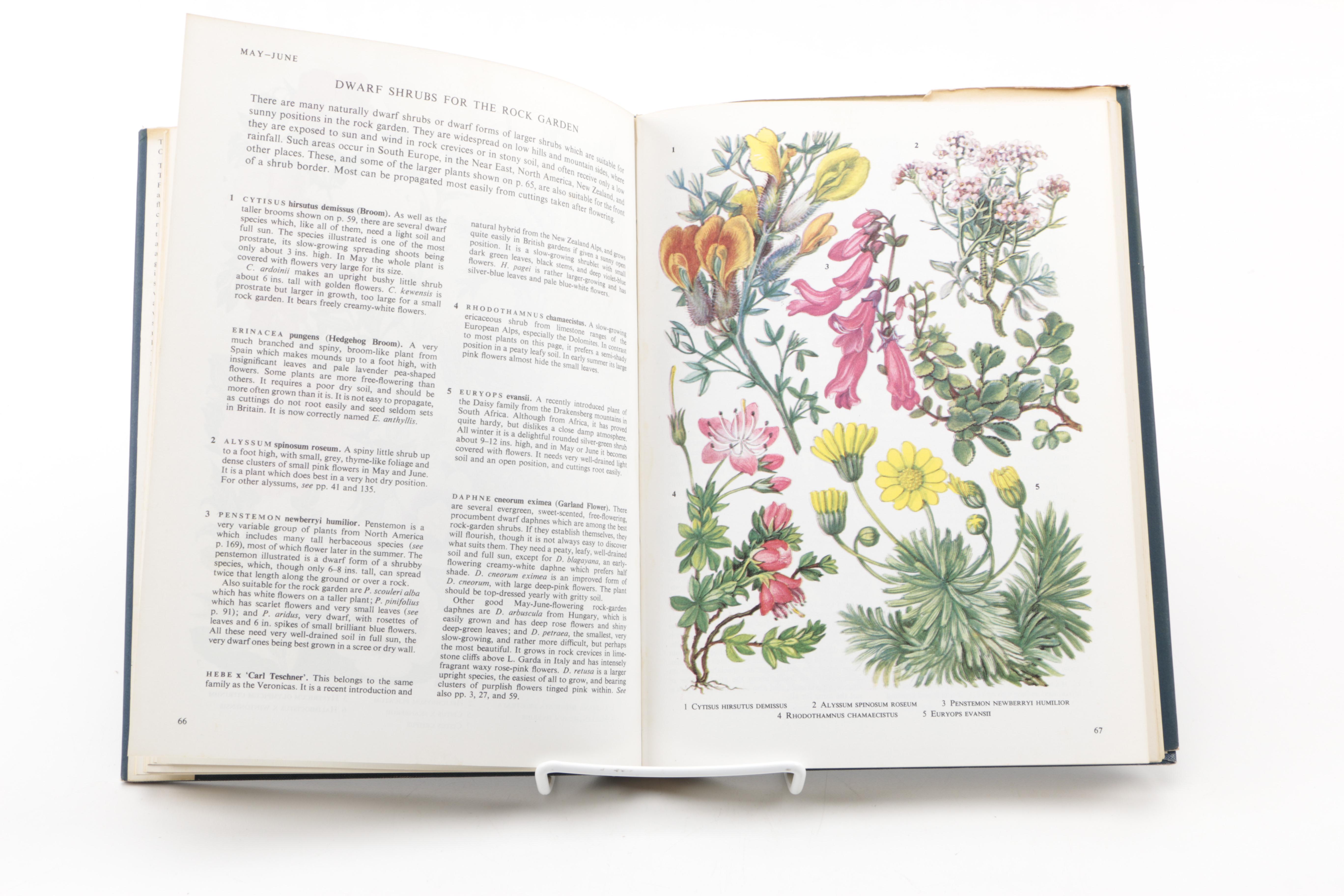 Assorted Books on Roses Including "Visions of Roses" Showing Beckett's Castle