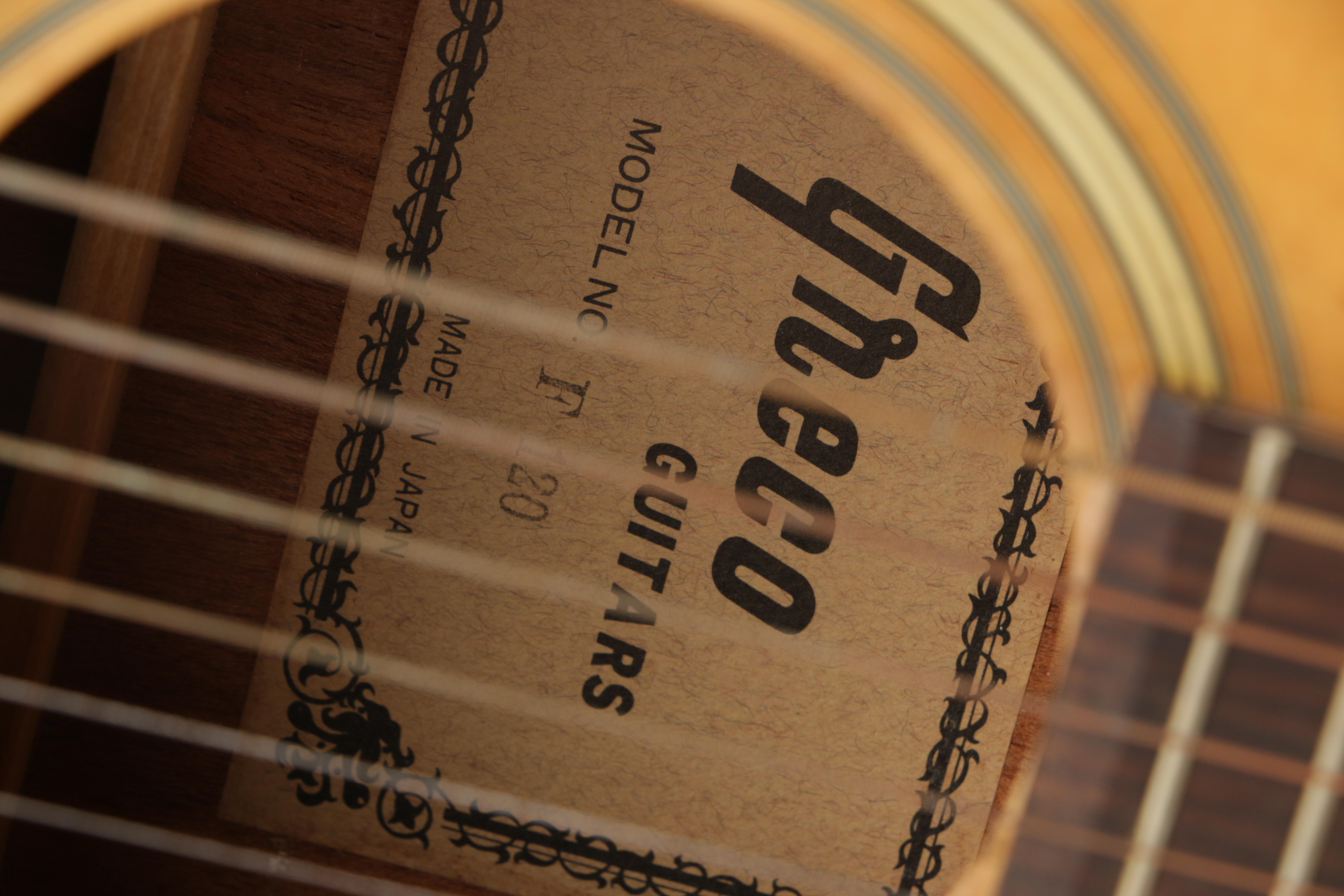 Vintage Greco F120 Acoustic Guitar and Case