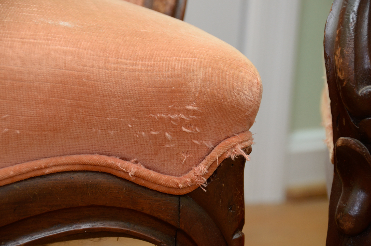 Pair of Balloon-Backed Chairs