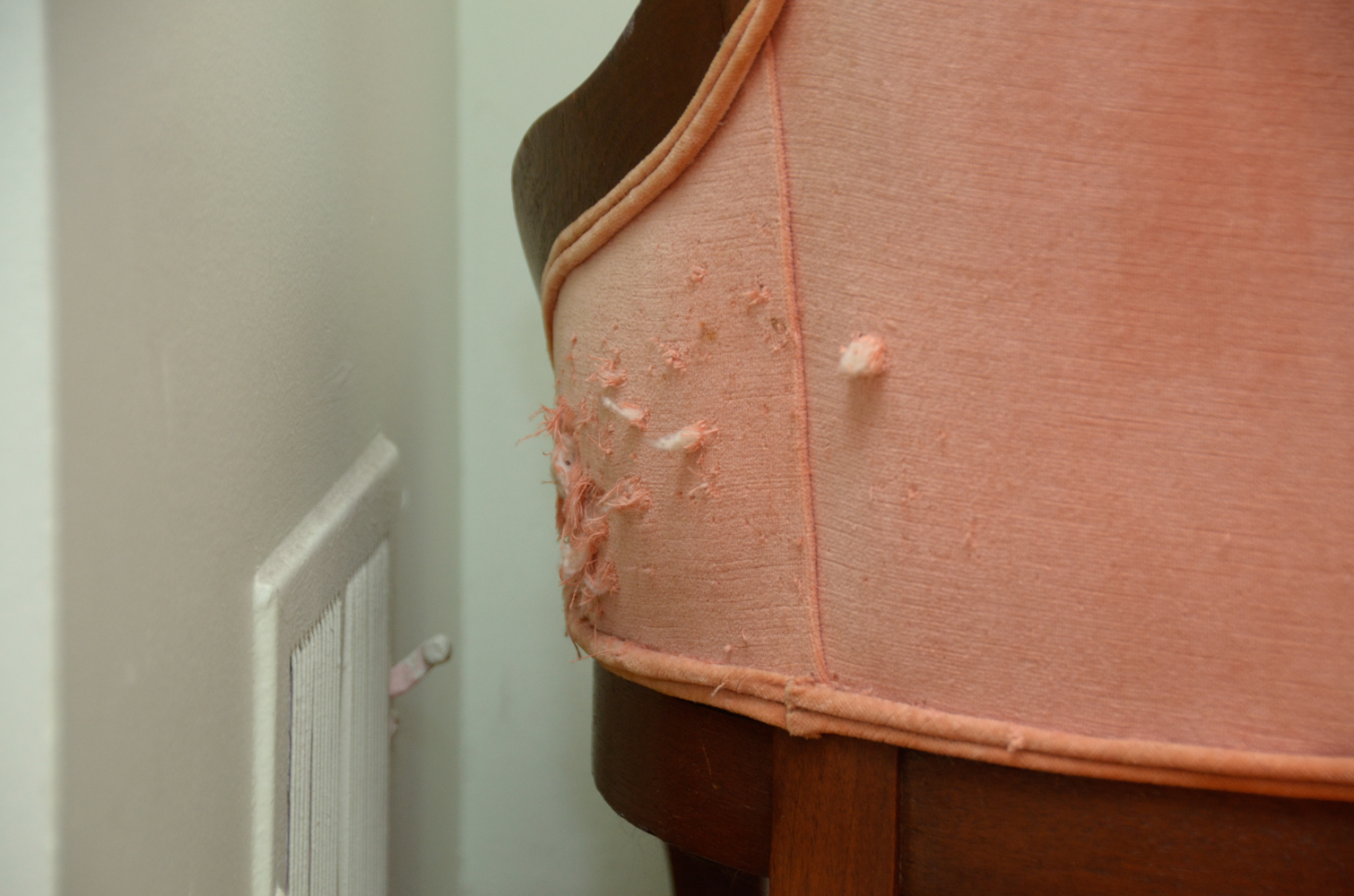 Pair of Balloon-Backed Chairs