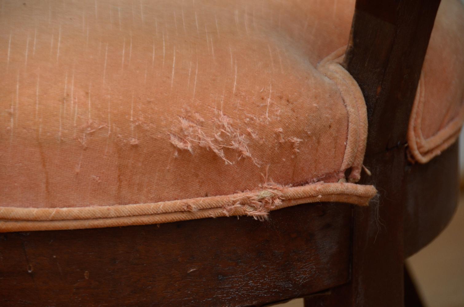 Pair of Balloon-Backed Chairs