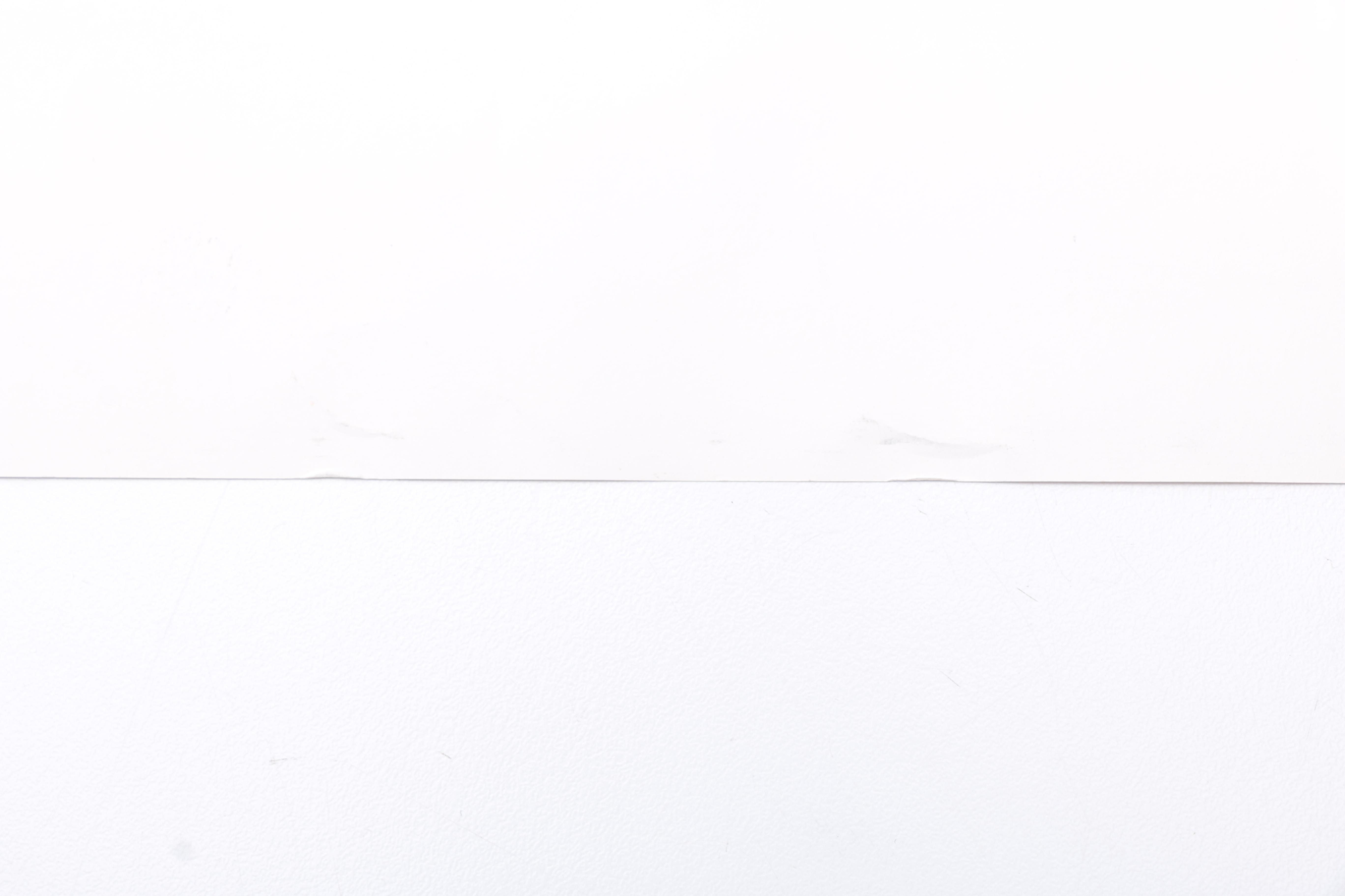 Autographed 'Kiss of The Spider Woman" Poster