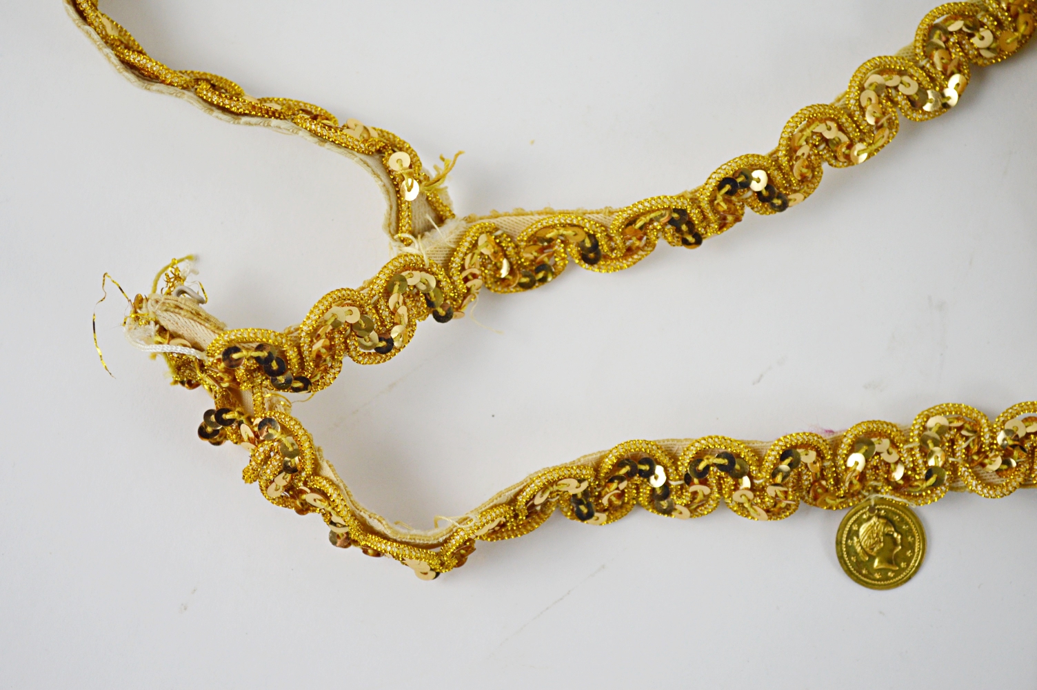 Costume Belly Dancer Bra