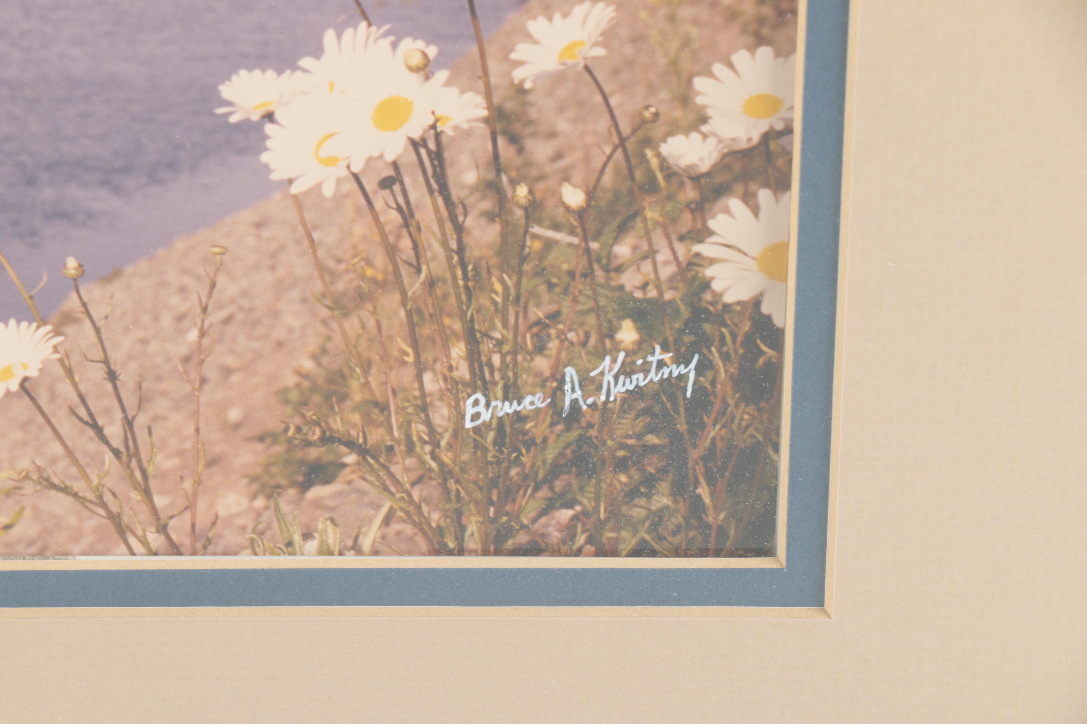 Vintage Bruce A. Kwitny Color Photograph of River Landscape