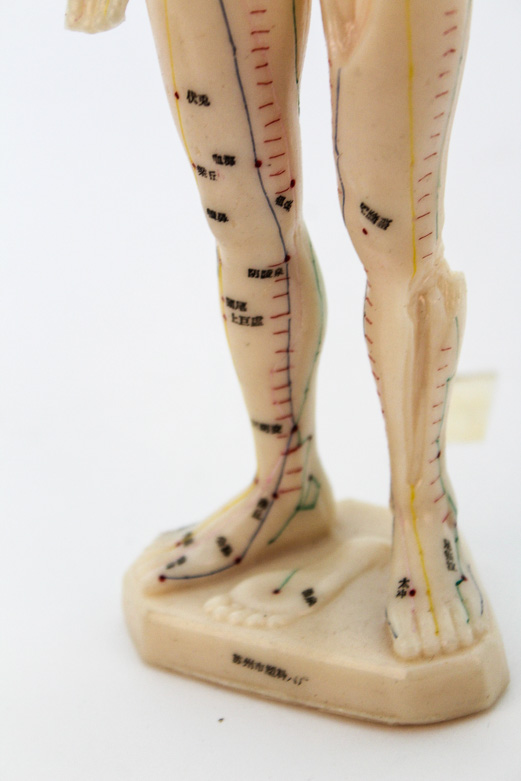 Human Hand Anatomy Model and Chinese Acupuncture Model