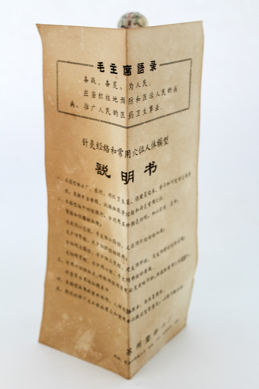 Human Hand Anatomy Model and Chinese Acupuncture Model