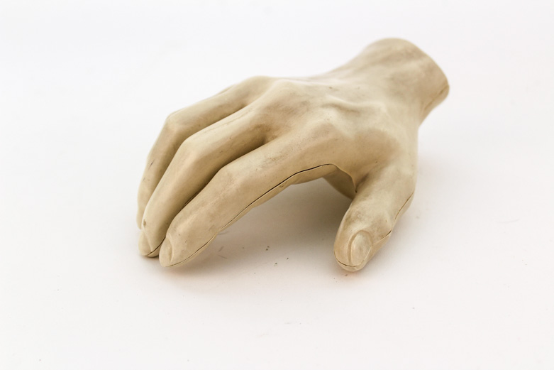Human Hand Anatomy Model and Chinese Acupuncture Model