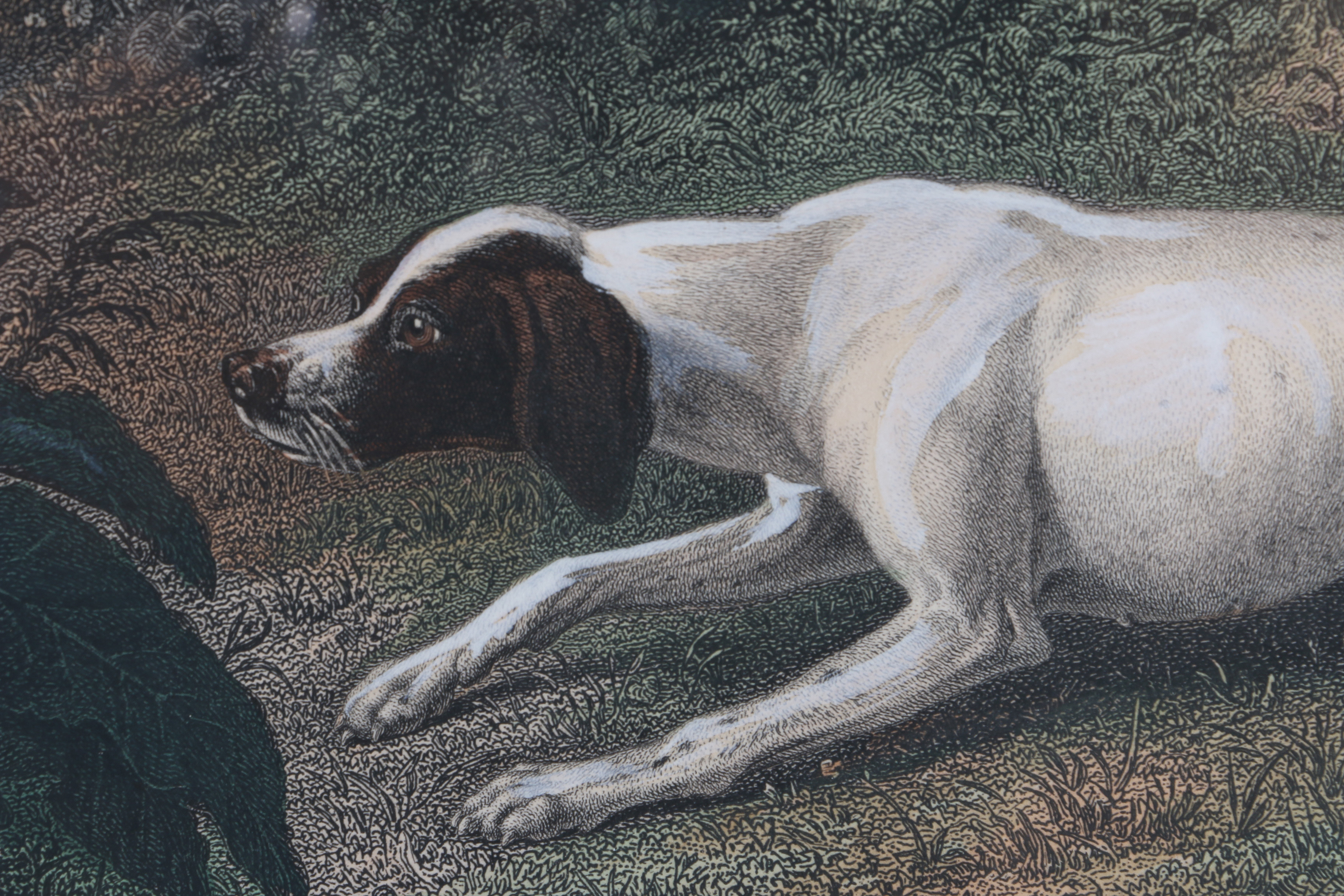 Ed Willmann Hand Colored Engraving With Gouache After Alexander Francois Desportes "Folle Et Mitte Chiennes De Louis XIV"