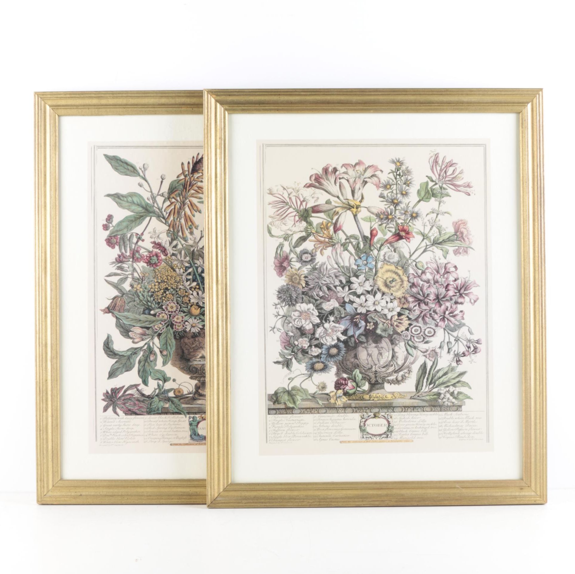 Offset Lithographs on Paper After Robert Furber "Twelve Months of Flowers"