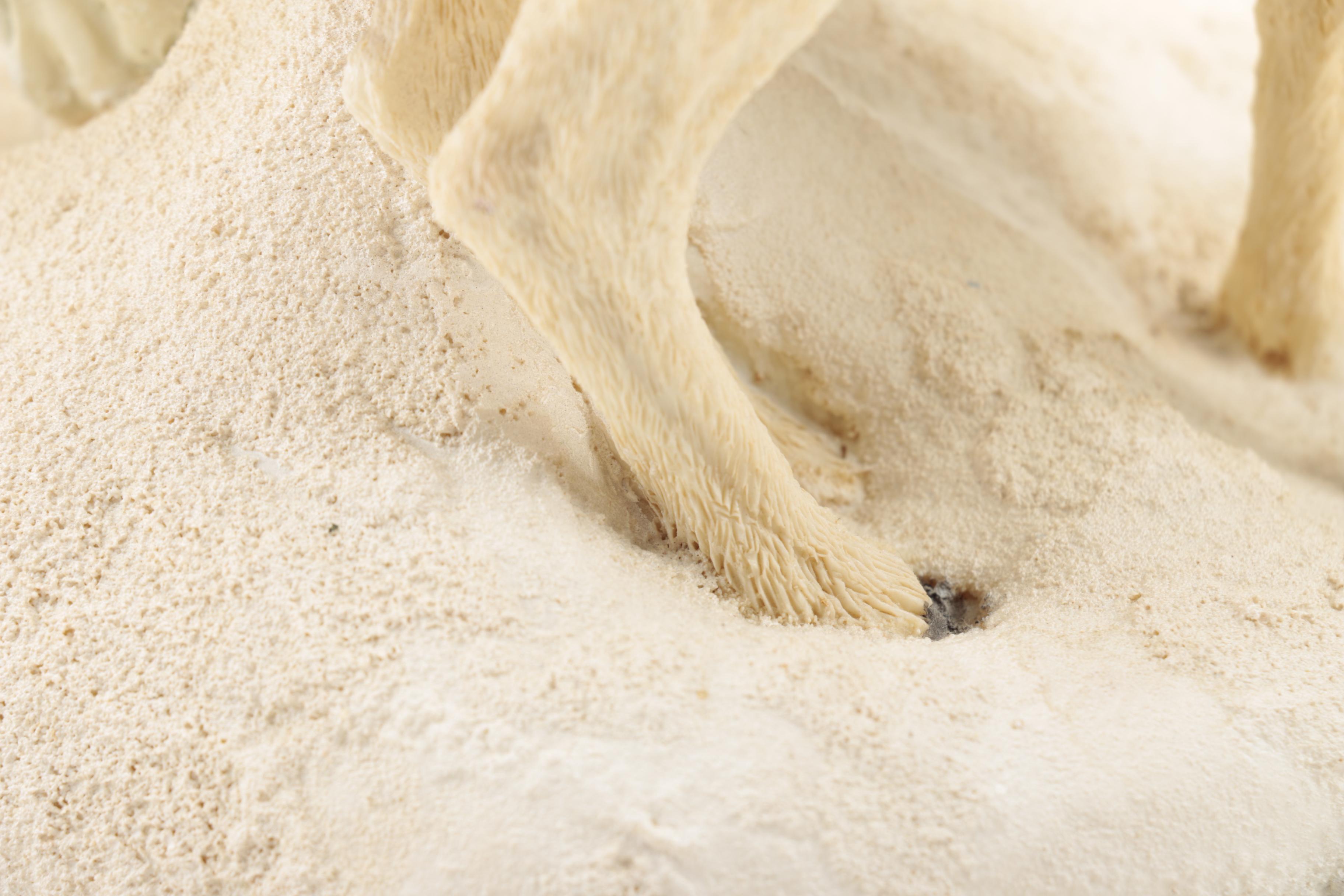 Collection of "The Legend of Santa Claus" Figurines