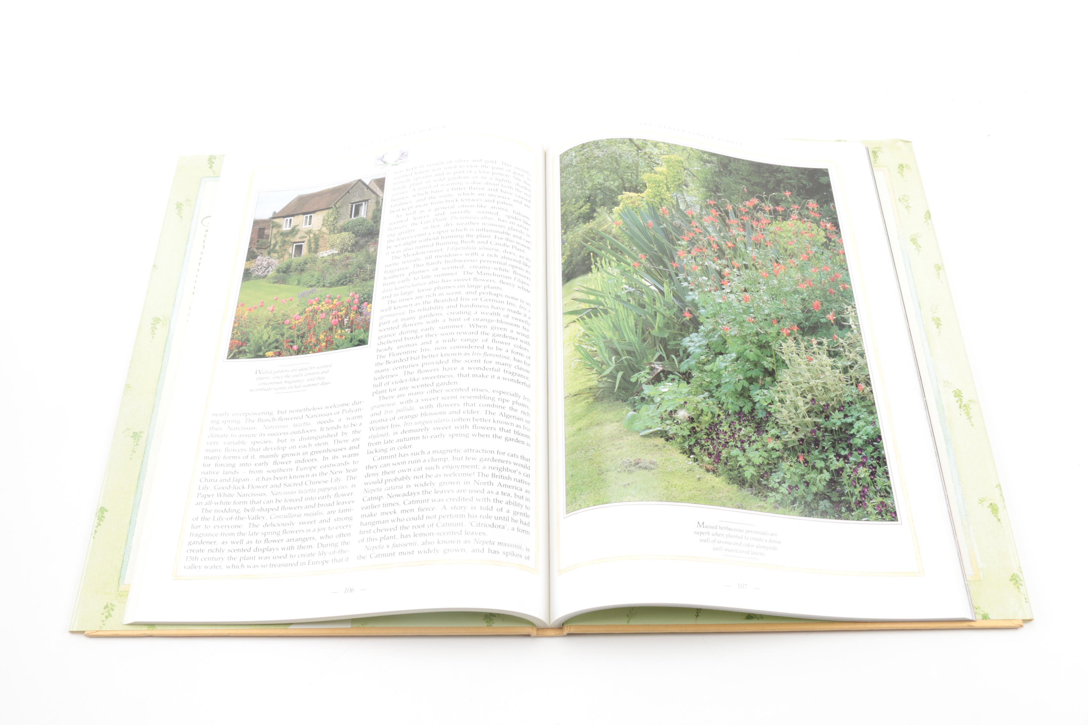 "The Quest for the Rose" and Other Books on Gardens and Gardening