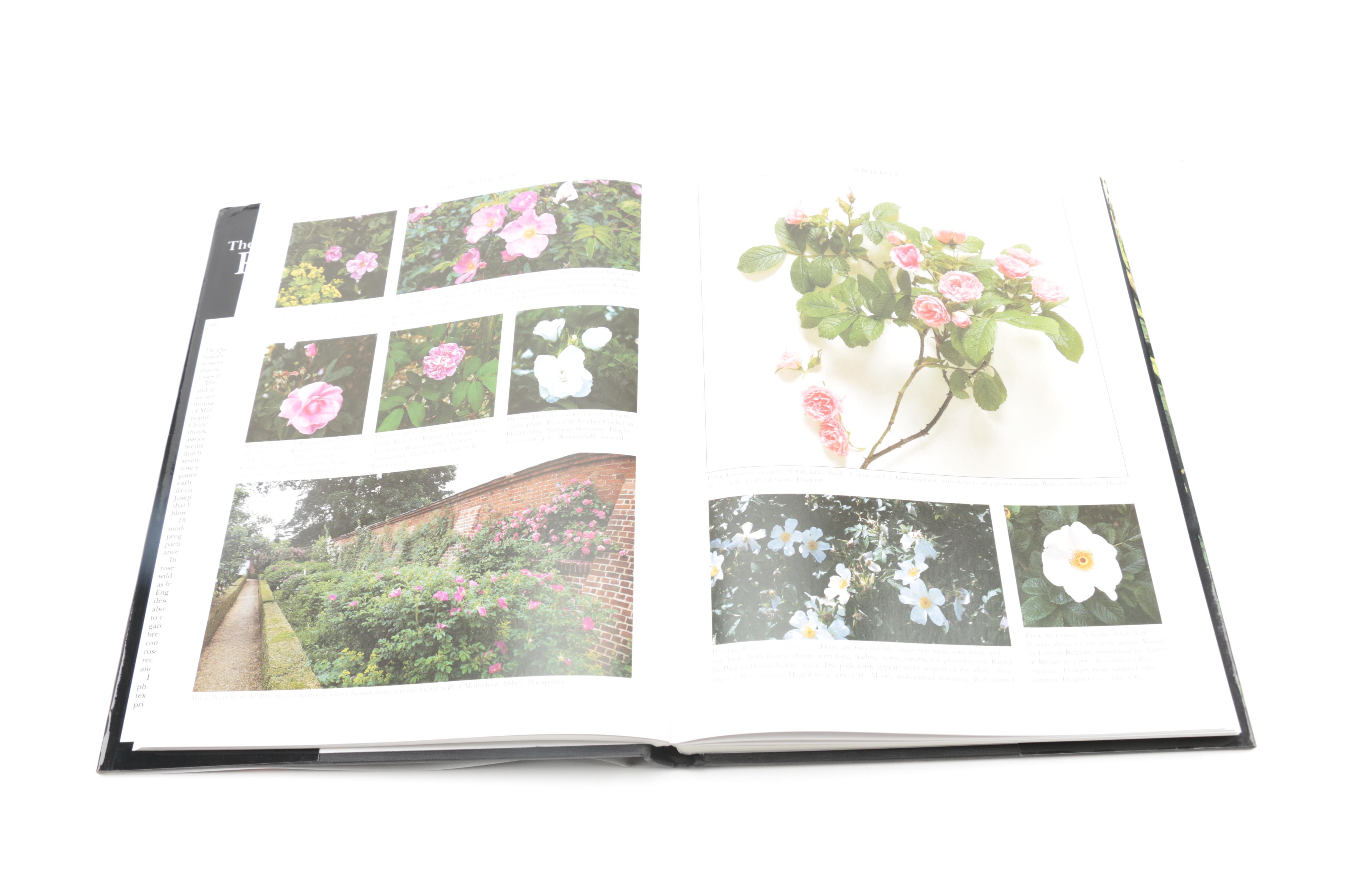 "The Quest for the Rose" and Other Books on Gardens and Gardening