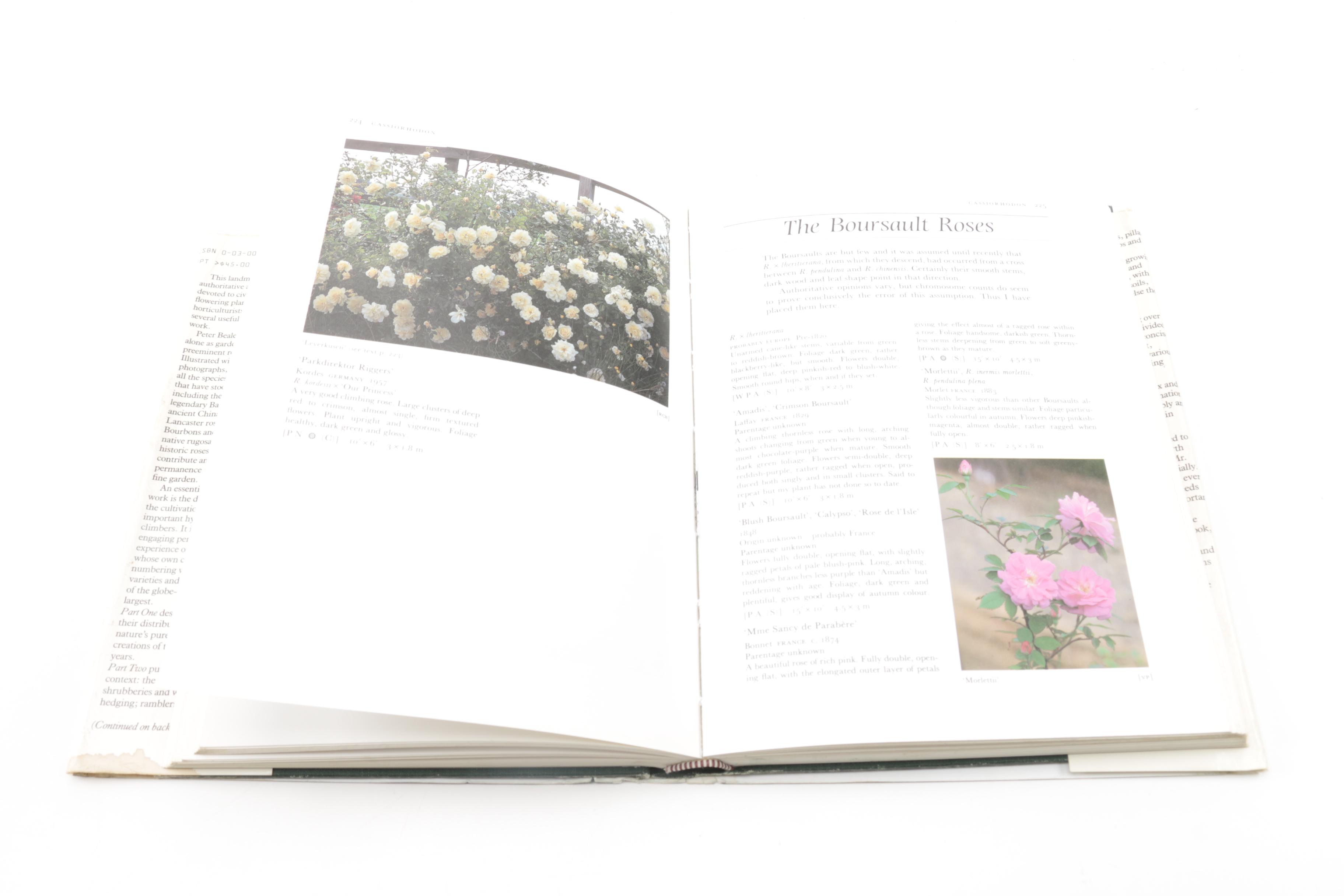 "The Quest for the Rose" and Other Books on Gardens and Gardening