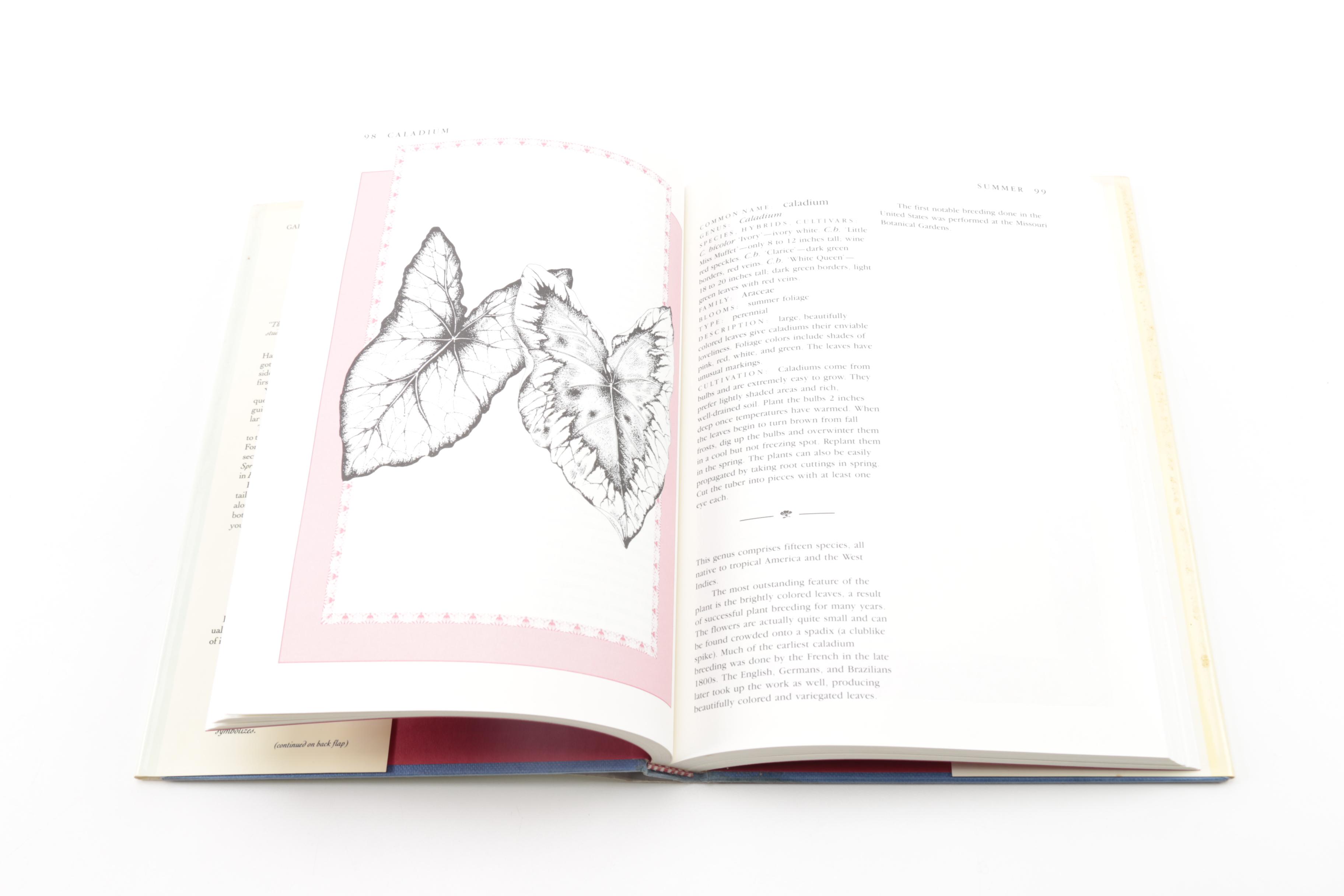 "The Quest for the Rose" and Other Books on Gardens and Gardening