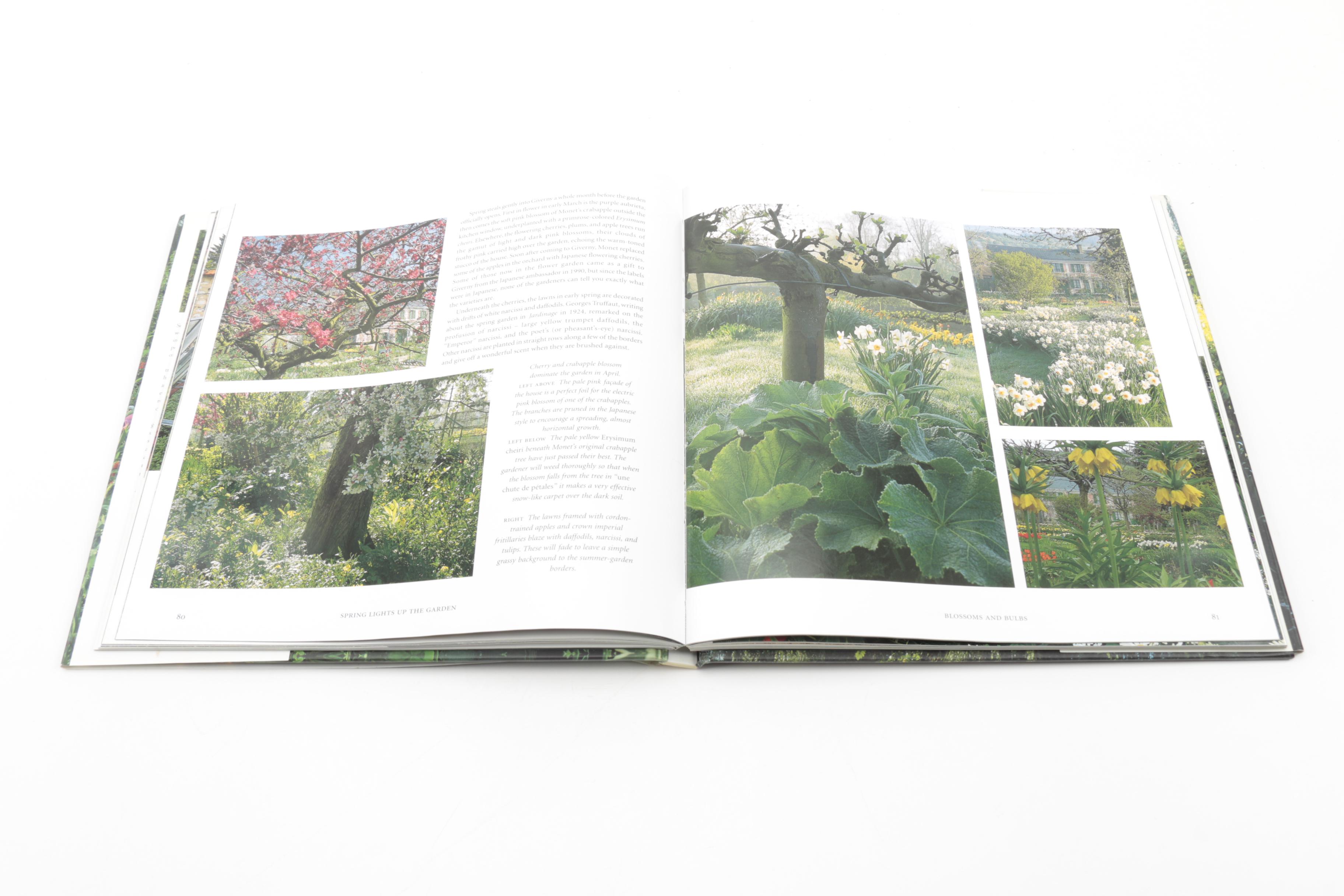 "The Quest for the Rose" and Other Books on Gardens and Gardening