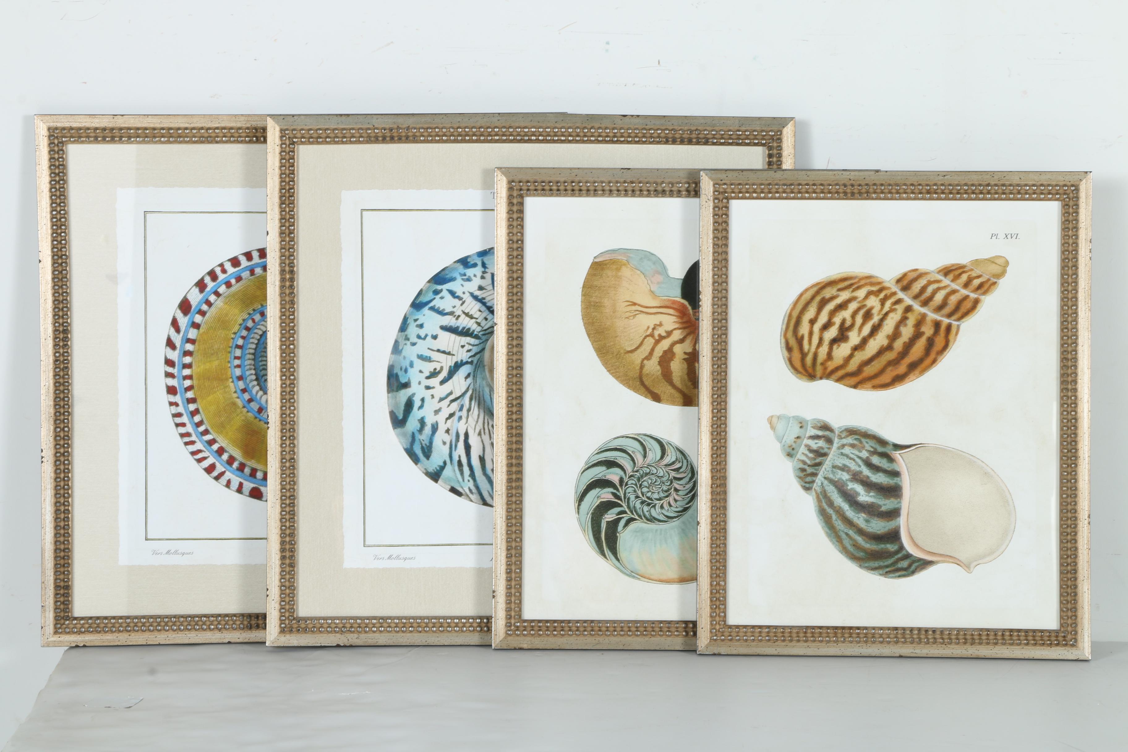 Giclées on Paper of Seashells Including Prints After Benard Direxit